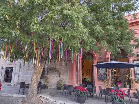 El Texano image 7