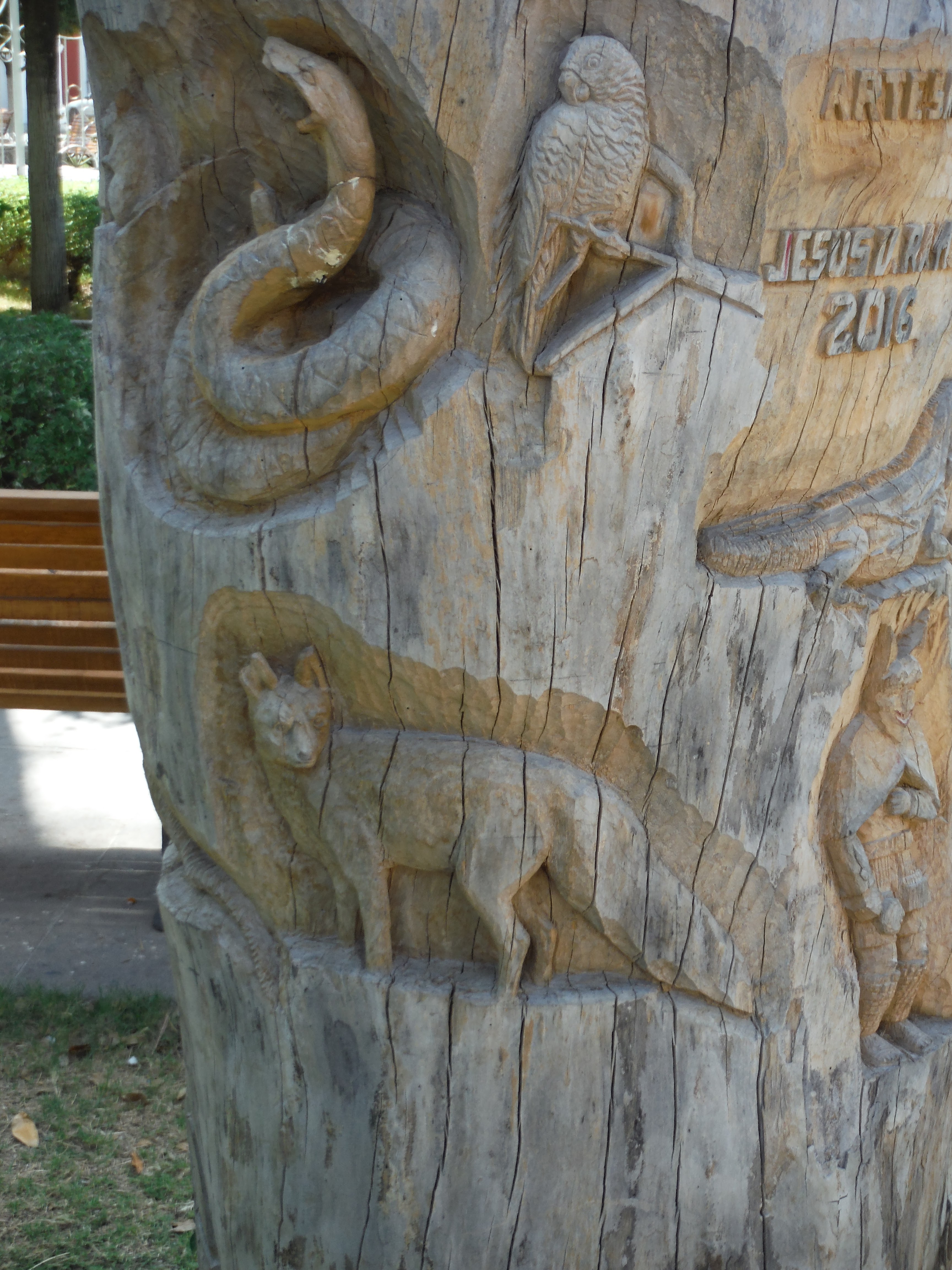 Mariscos Don Pascual image 10