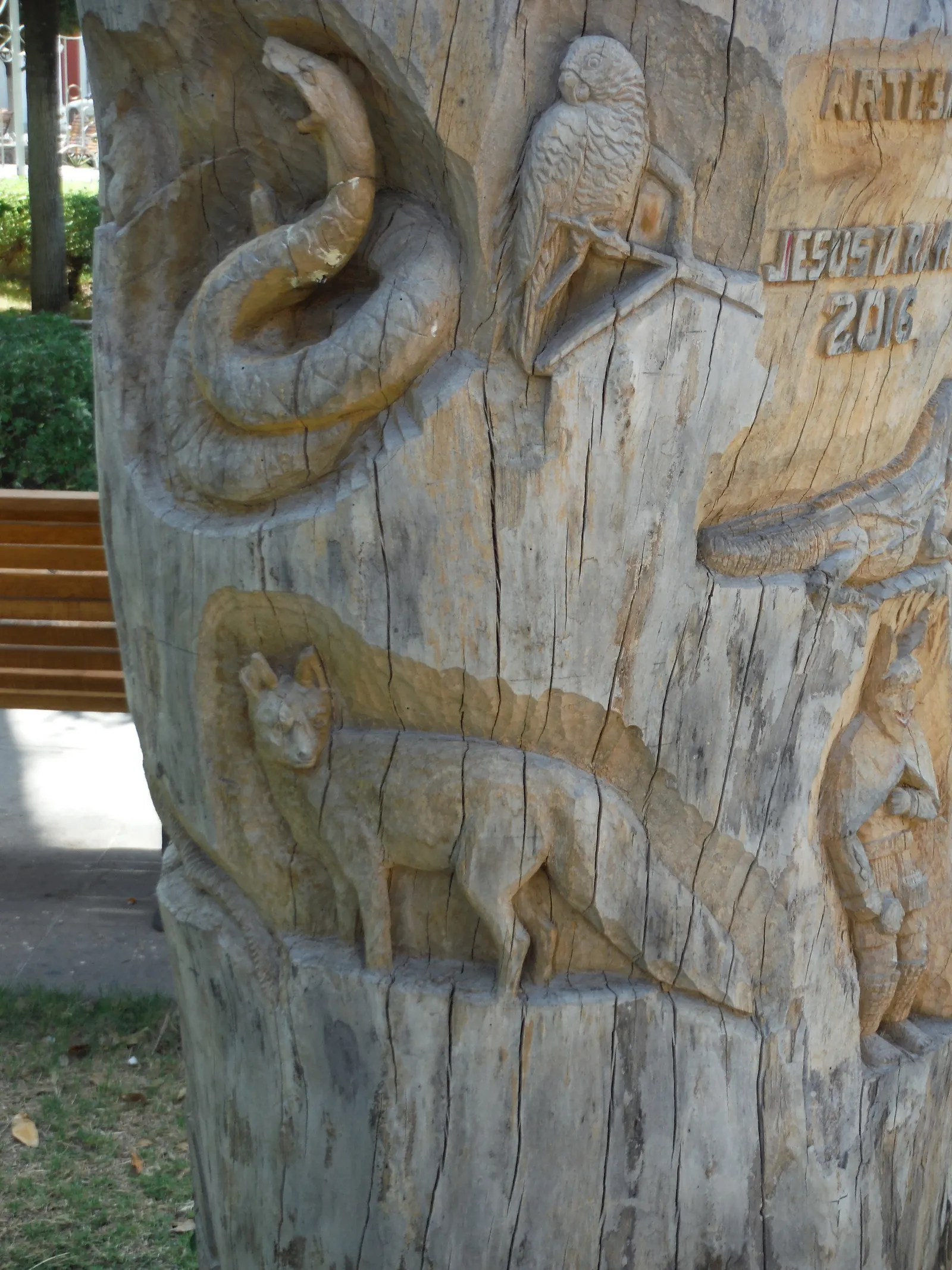 Mariscos Don Pascual image 10