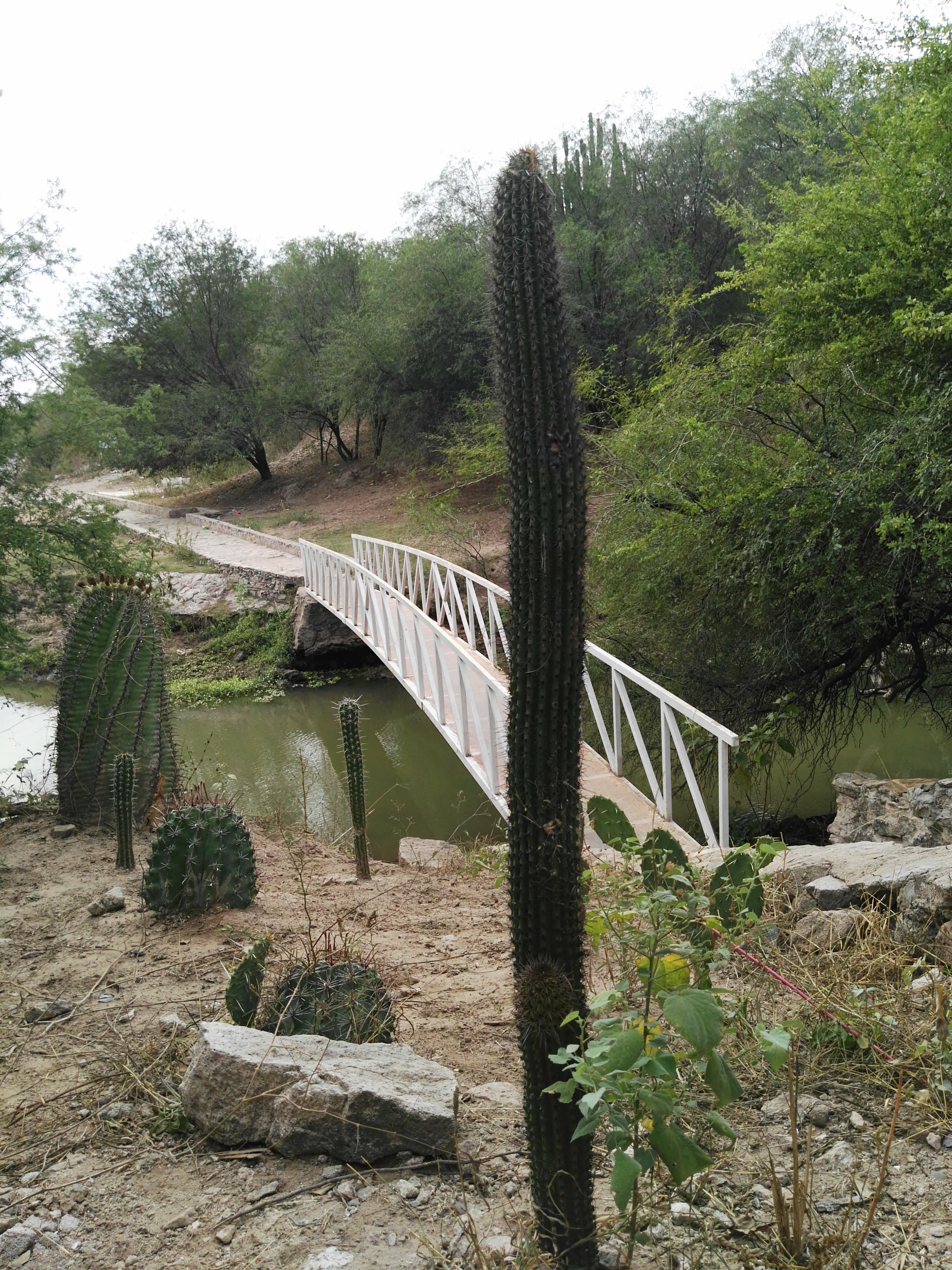 Restaurante EL RIO image 8