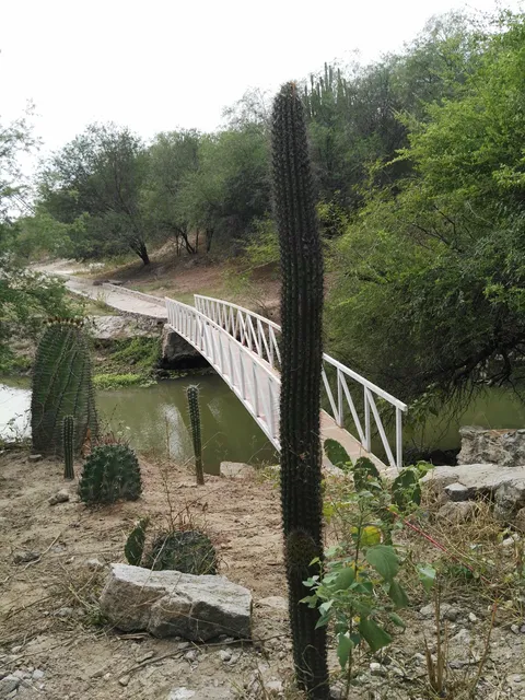 Restaurante EL RIO image 8