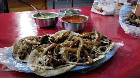 Tacos de Cecina El Sureño image 2