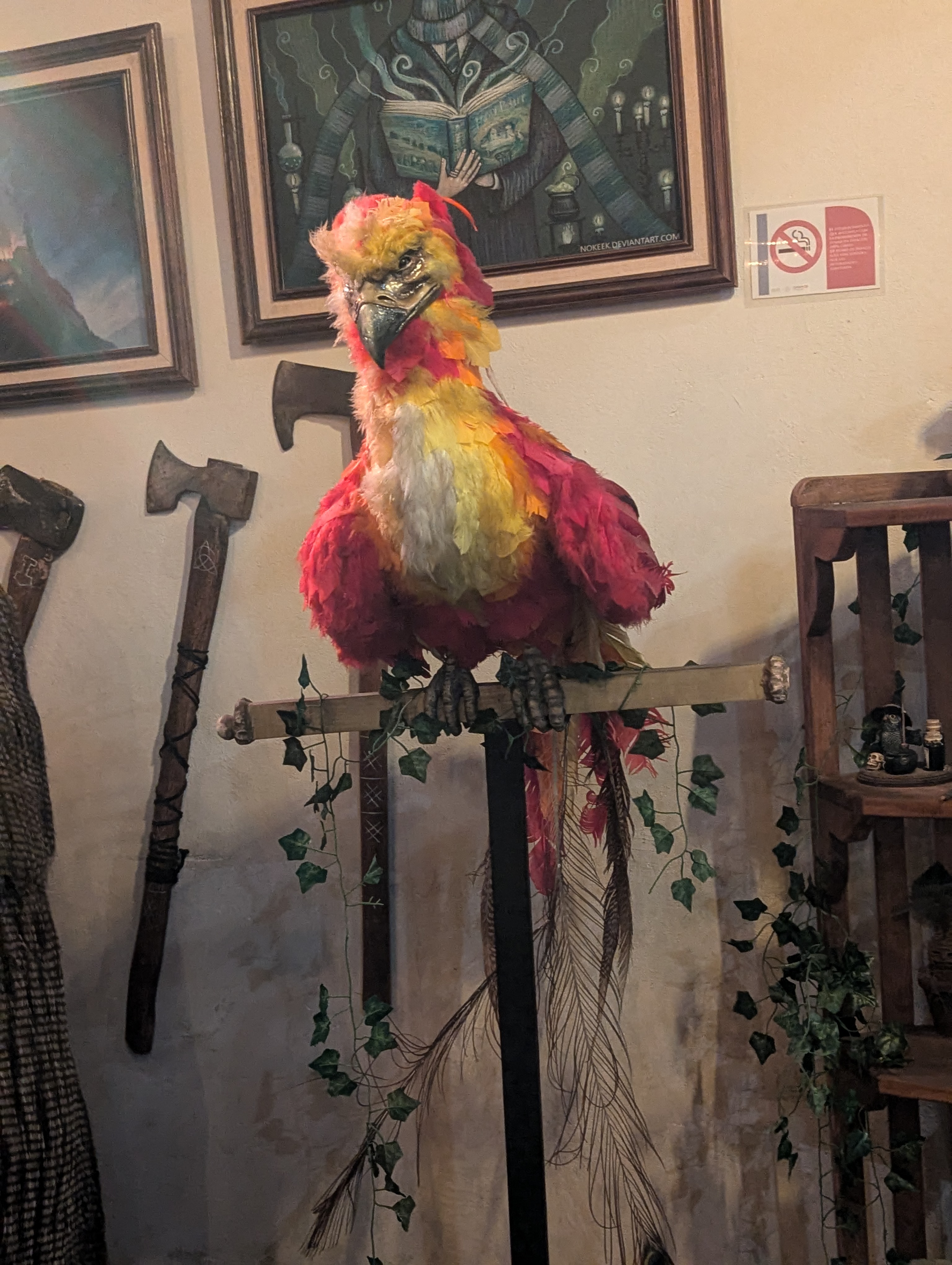 Incantatum Querétaro image 6