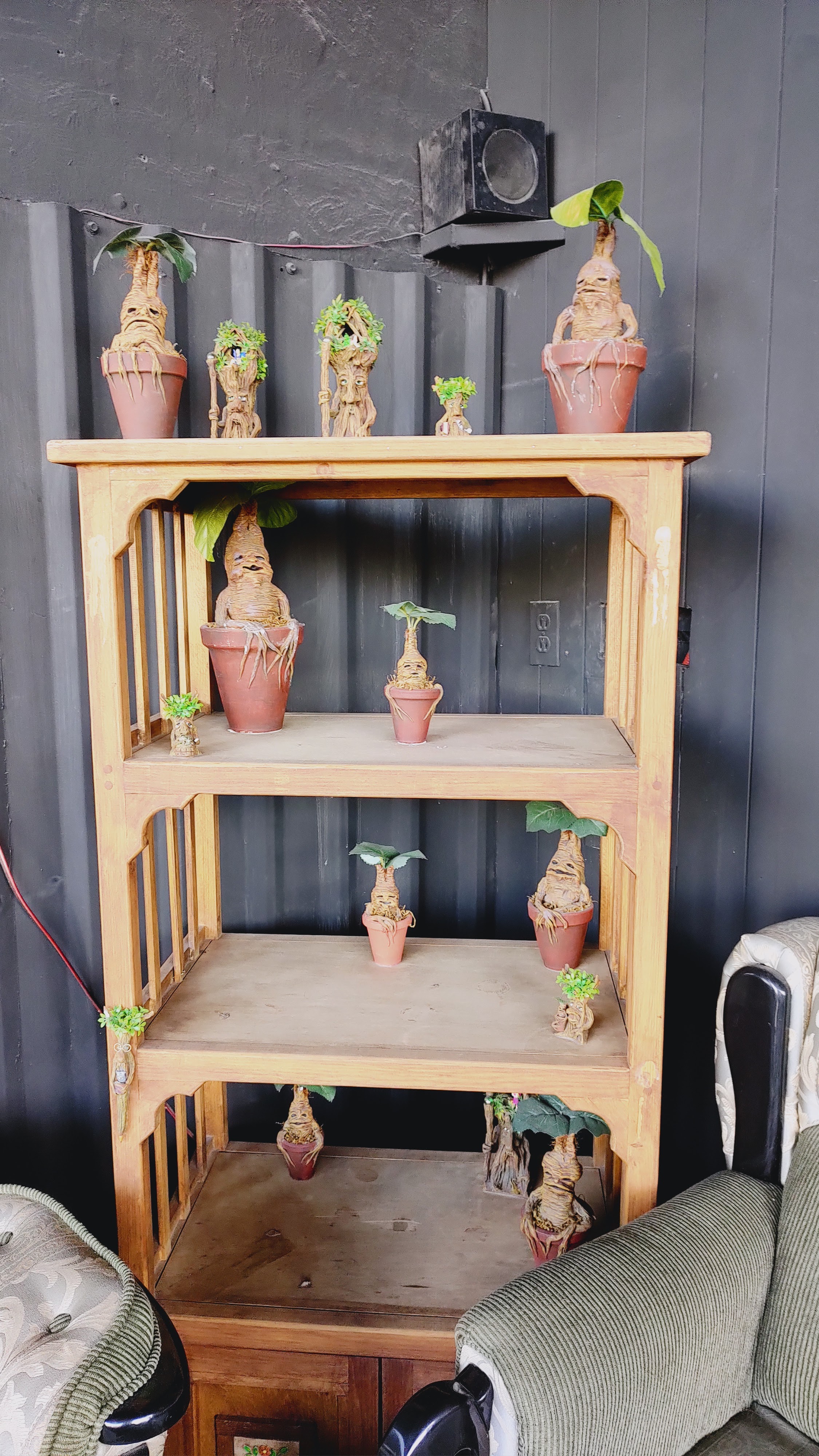 Incantatum Querétaro image 10