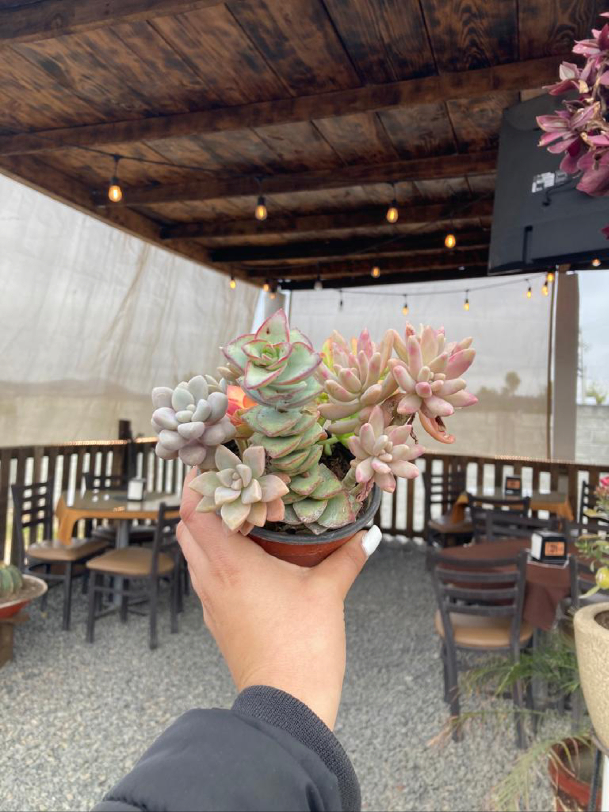 El Contenedor image 7