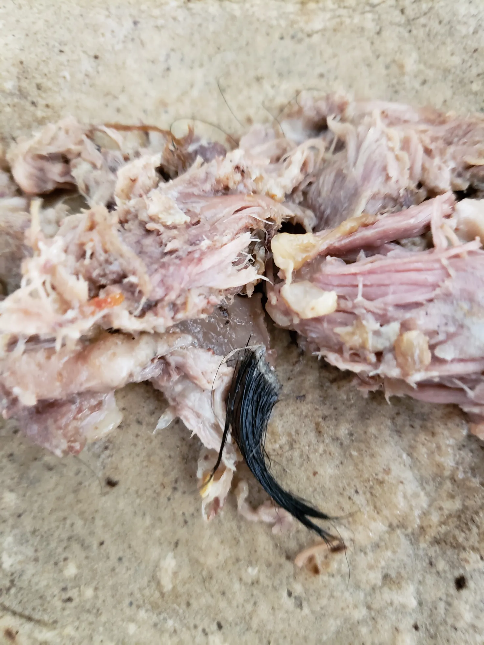 Barbacoa Don Cuco Suc. Refugio-Zakia-Zibata image 7