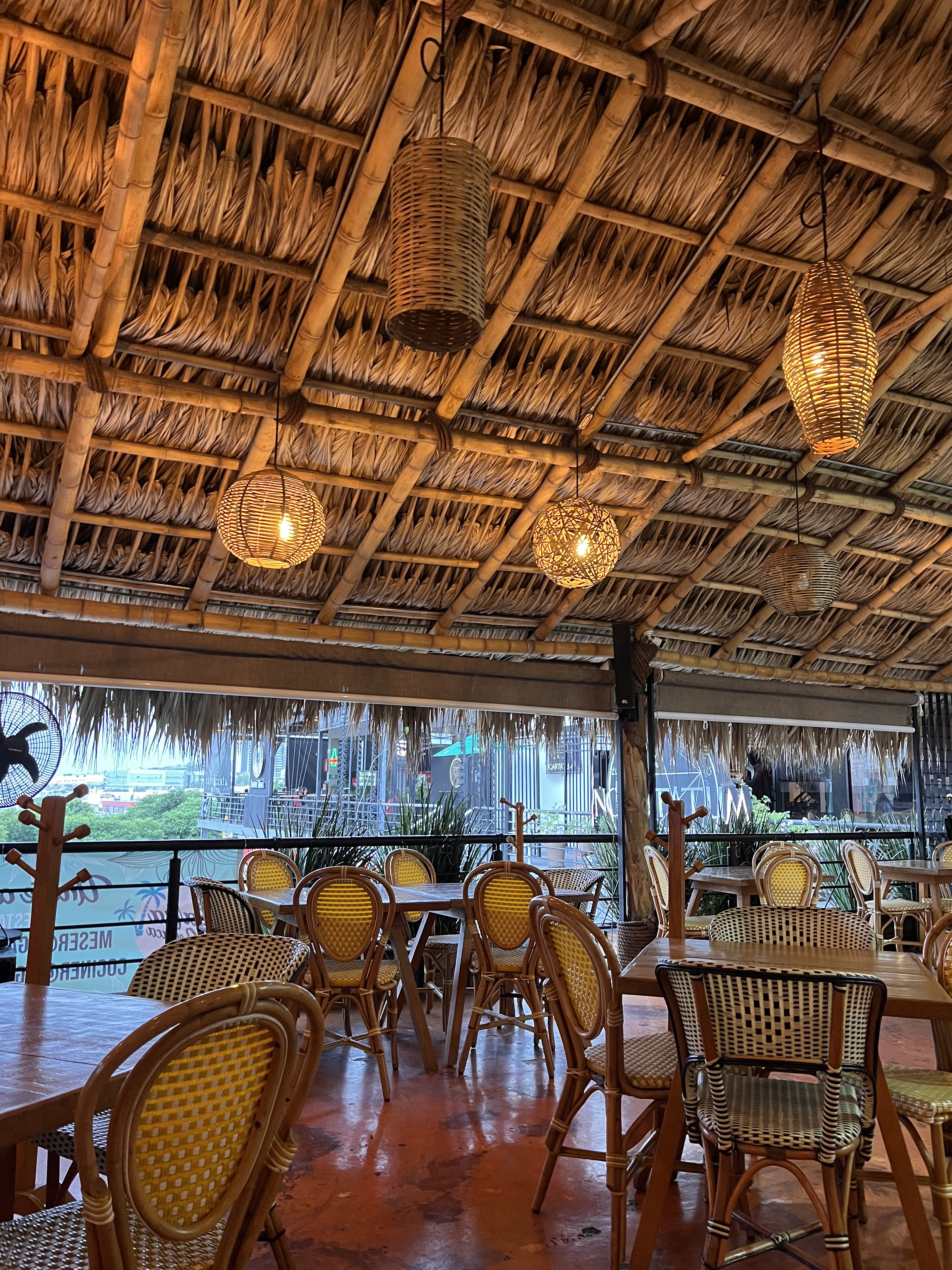 Barra Coyuca image 1