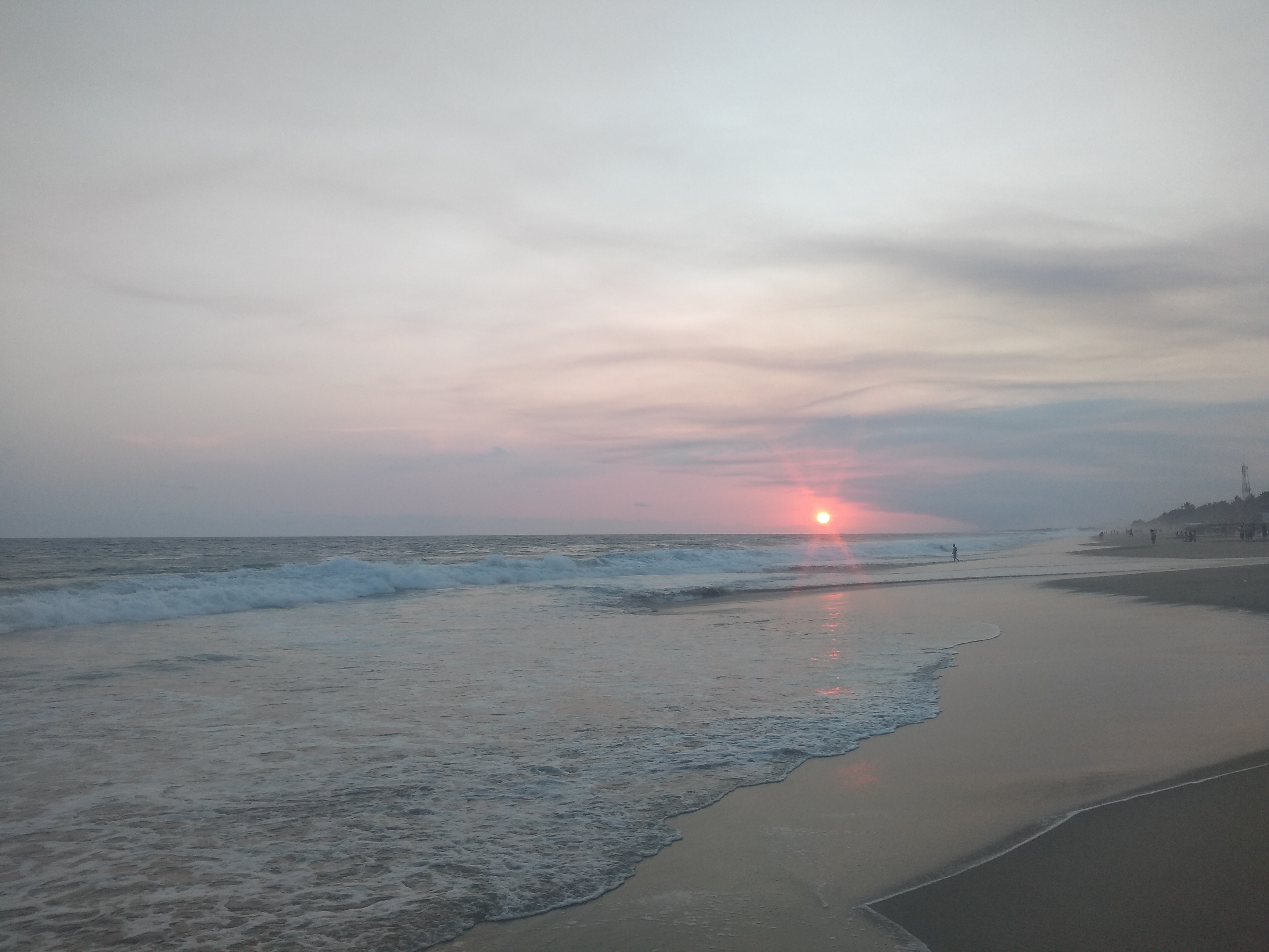 Restaurante y Mariscos Ricardo's image 4