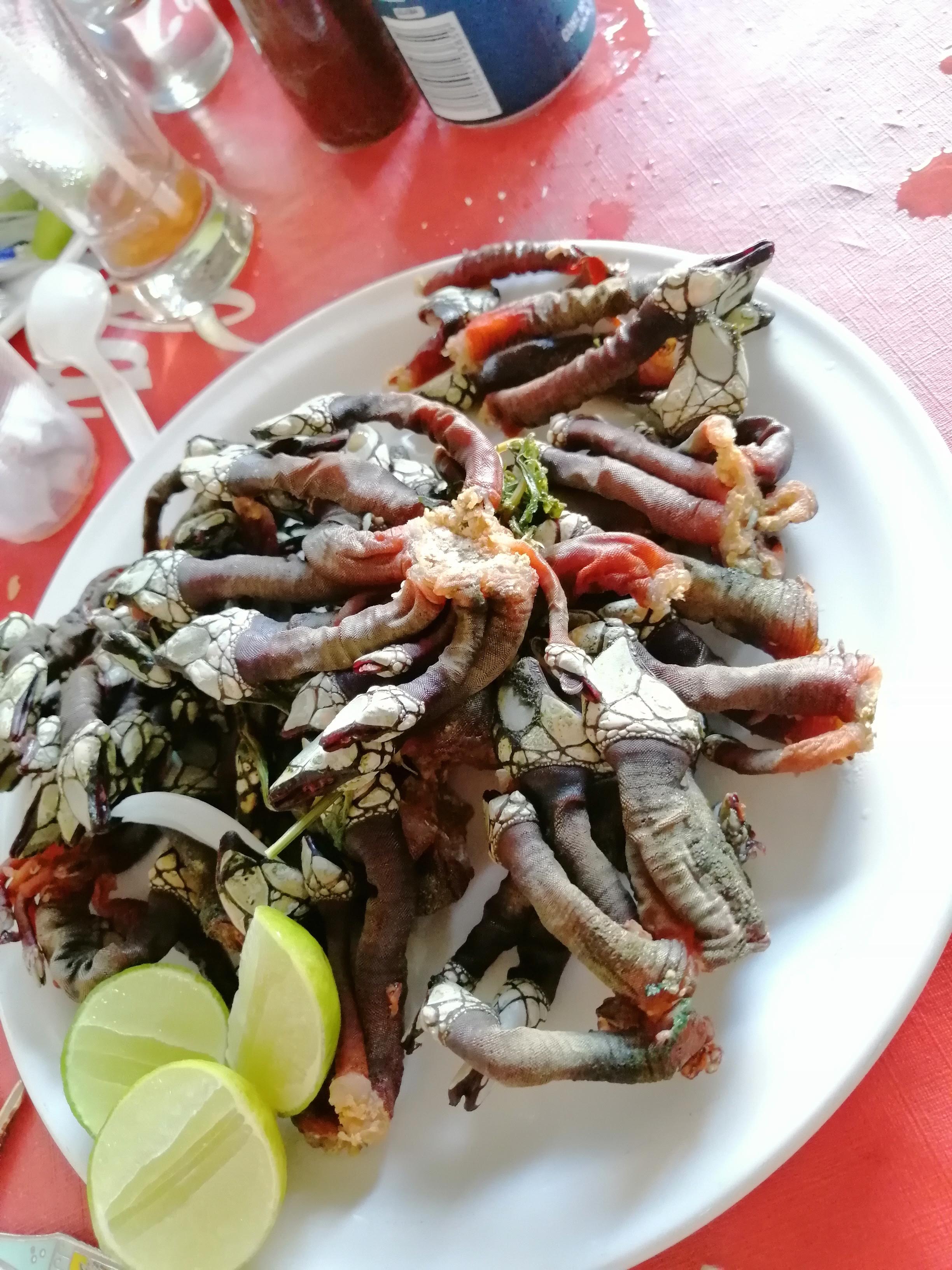 Restaurante y Mariscos Ricardo's image 7