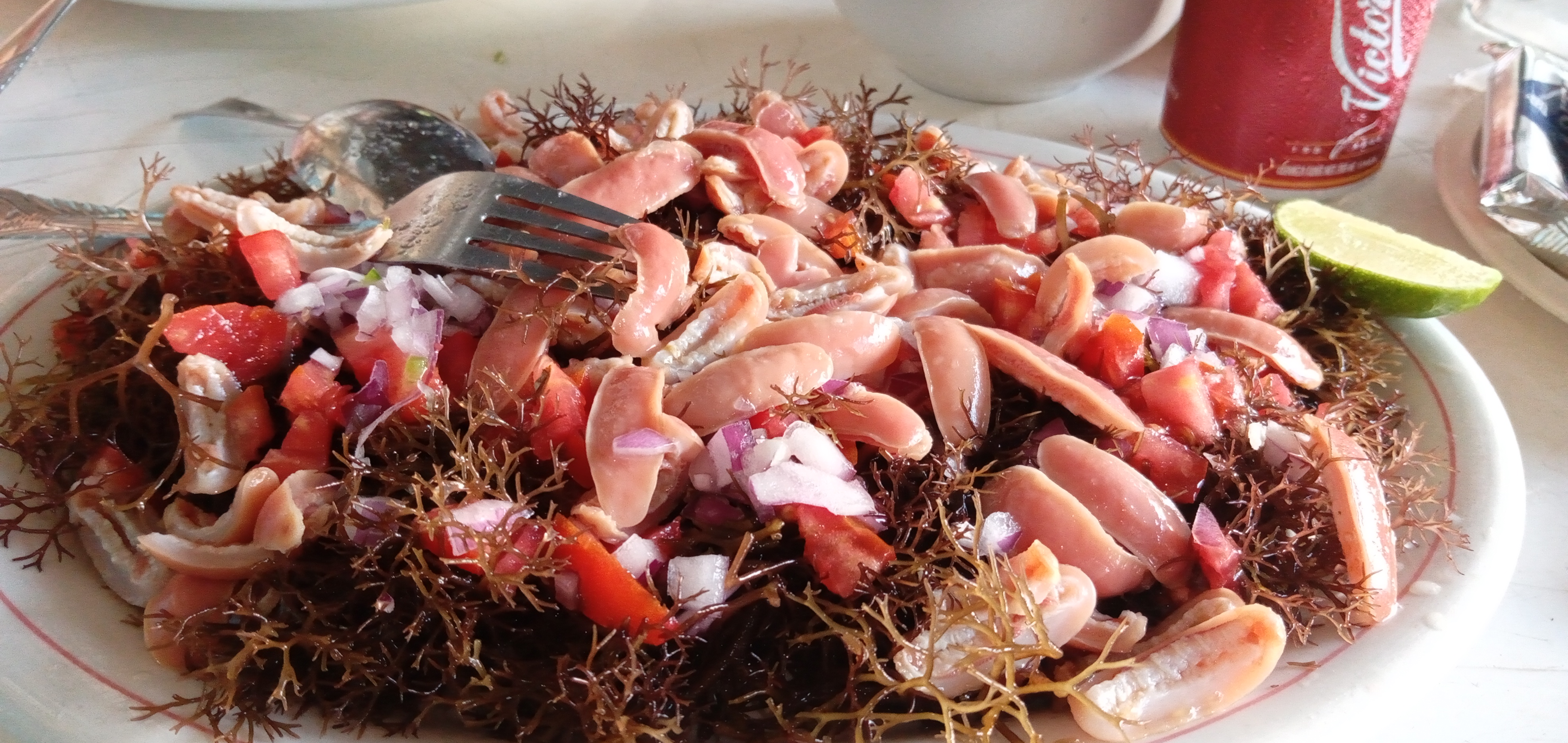 Restaurante y Mariscos Ricardo's image 8