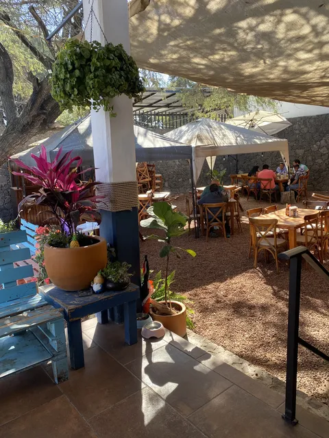 La Comadre Culichi image 1