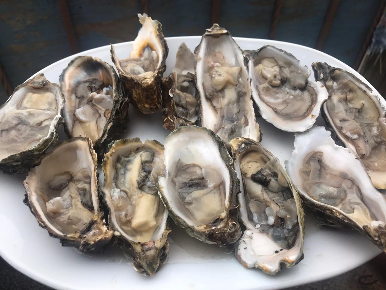 La Comadre Culichi image 10