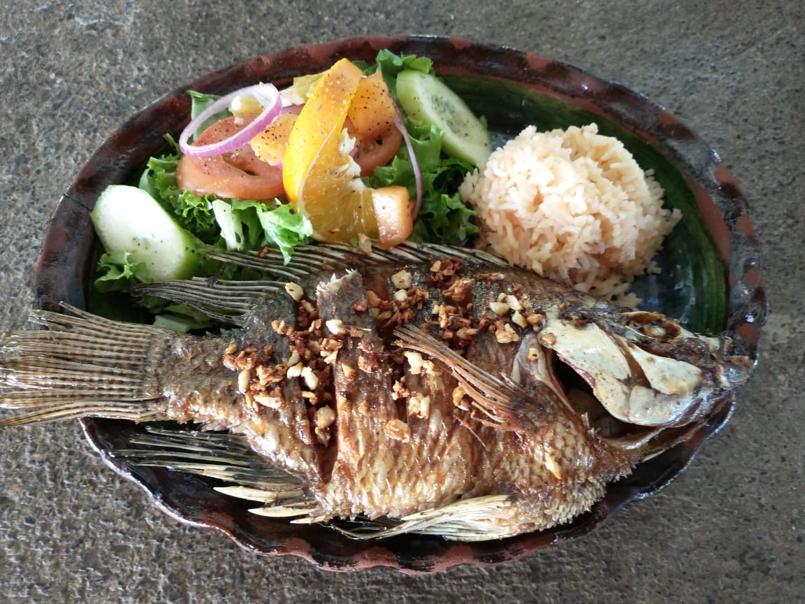 Las Hamacas Del General image 5