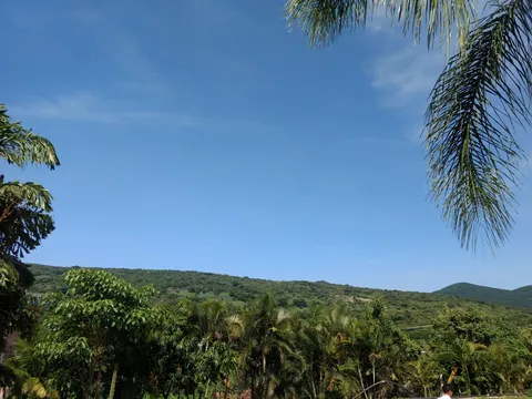 "La Finca" image 6