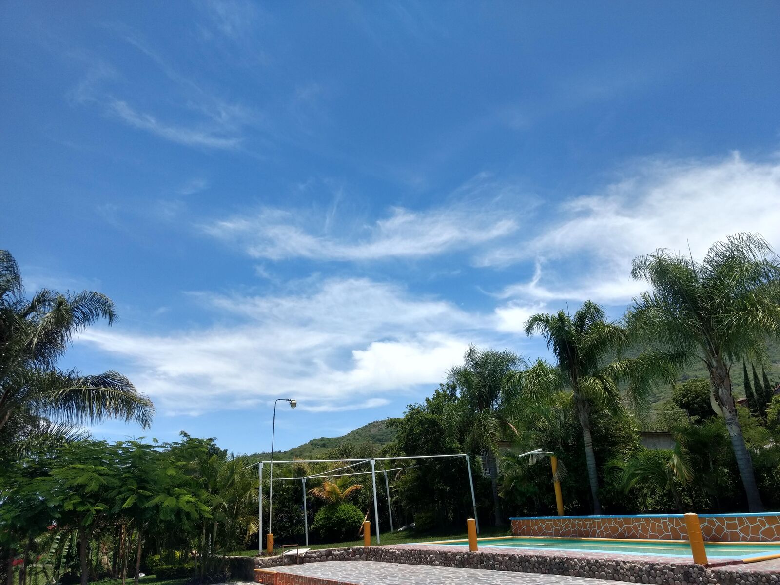 "La Finca" image 9