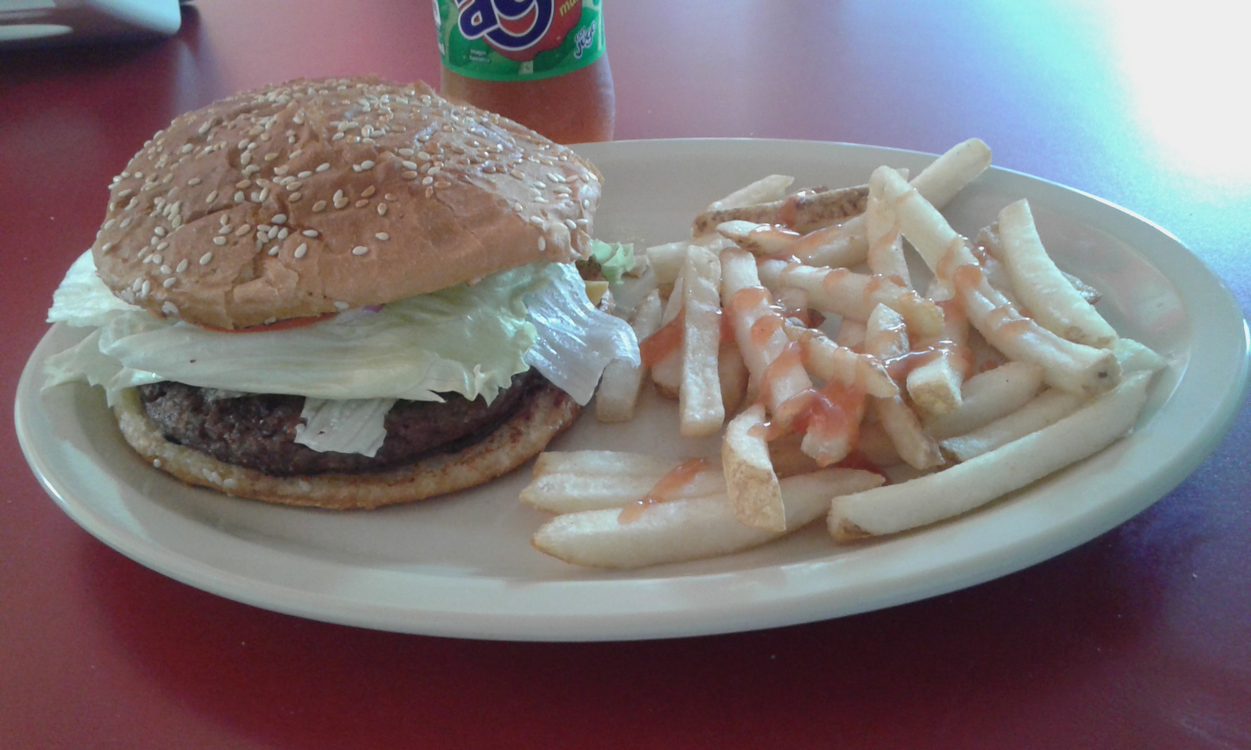 Pollo Donald Jamay image 2