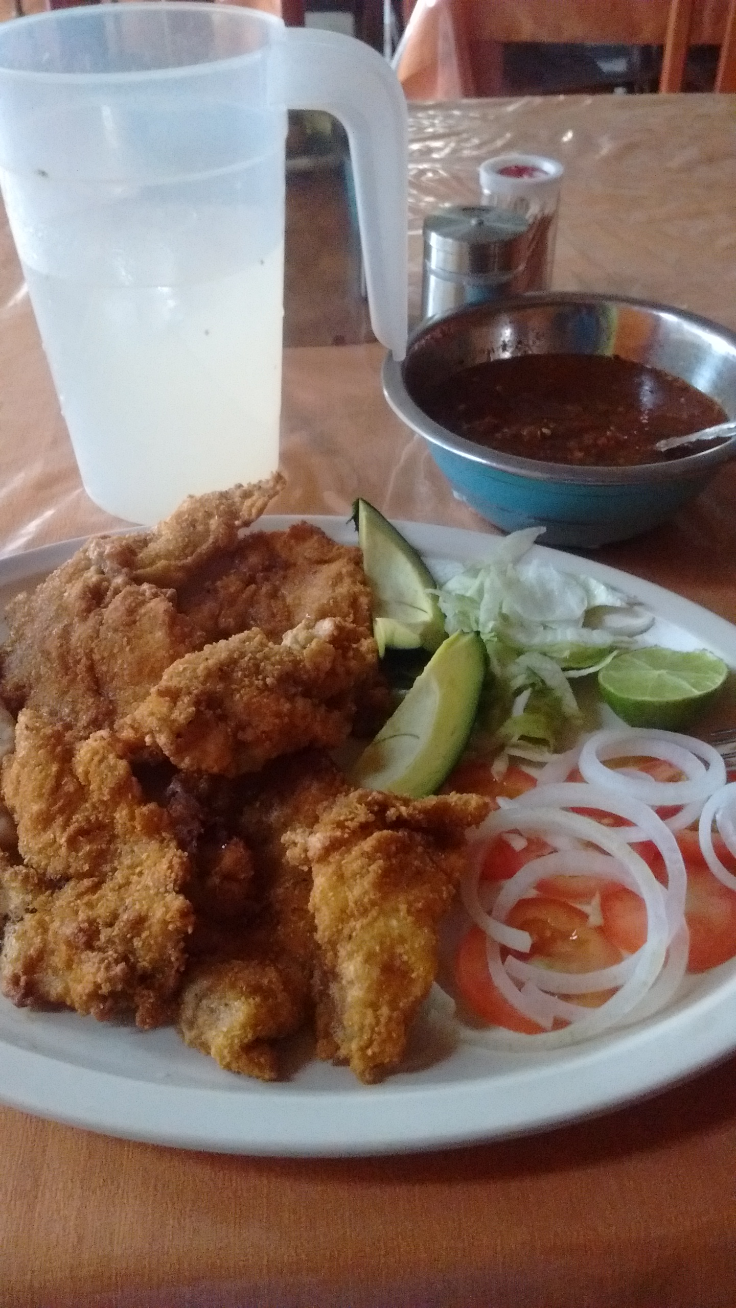 Fonda Becerra image 5