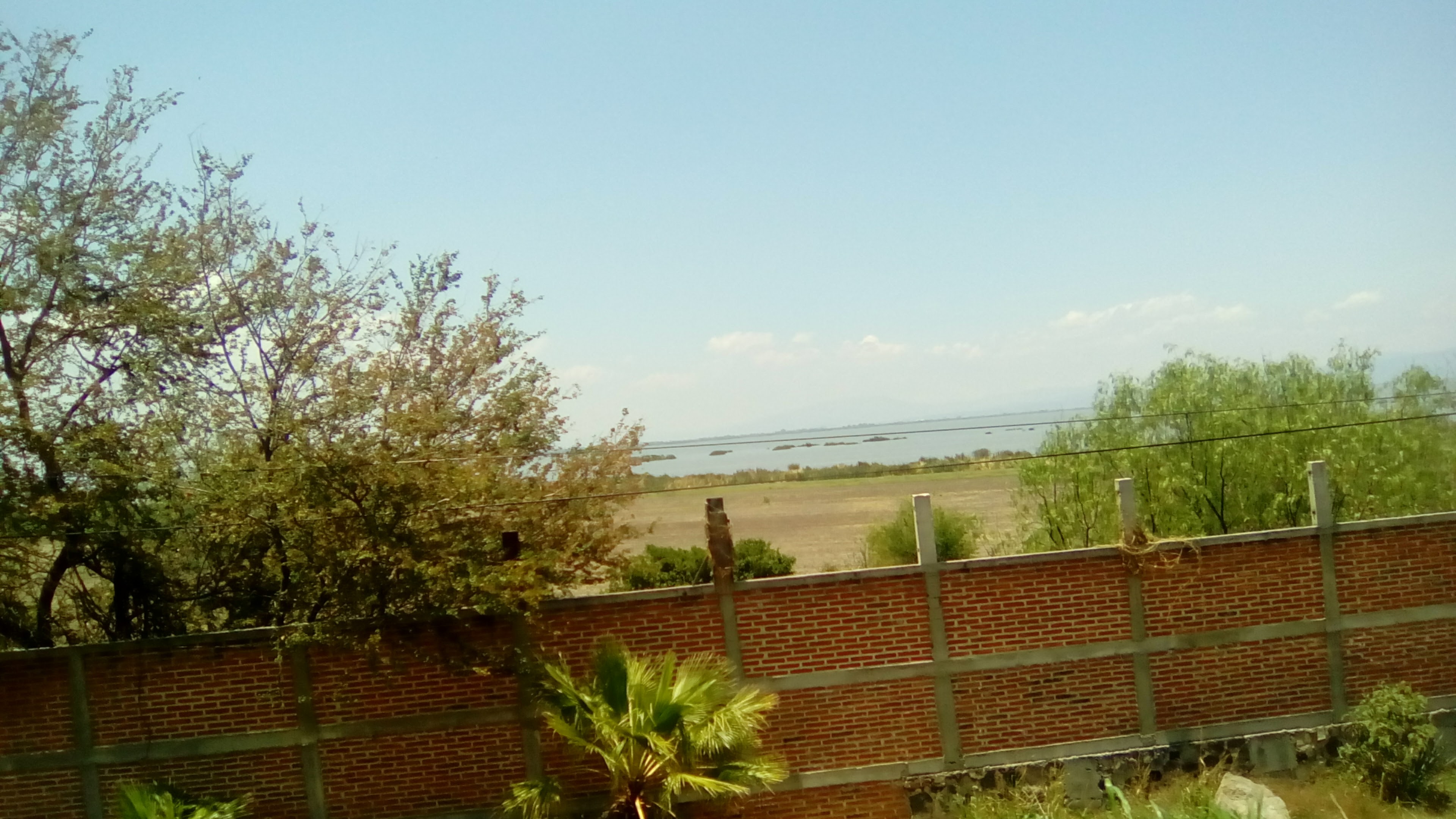 Fonda Becerra image 9