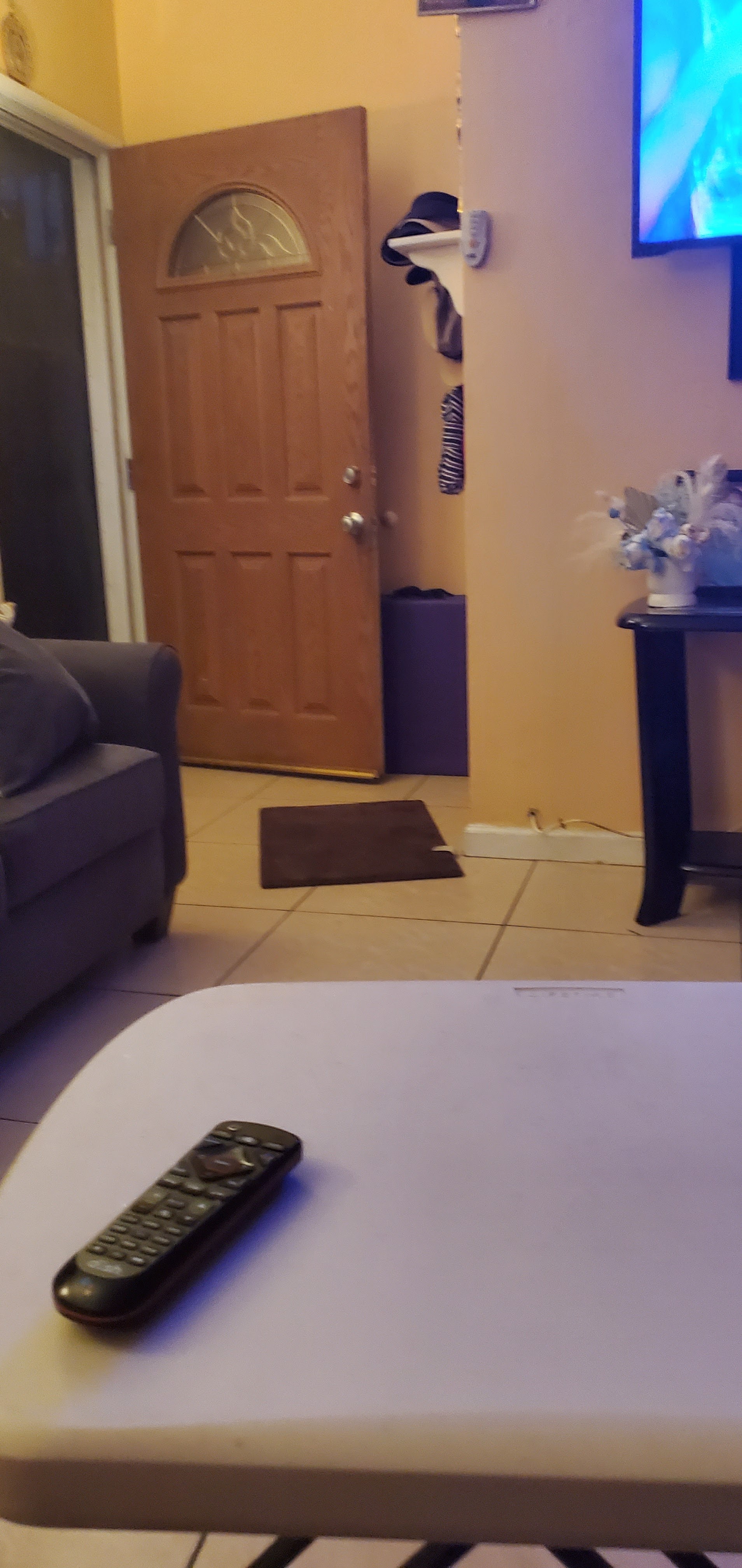 Fonda Becerra image 10