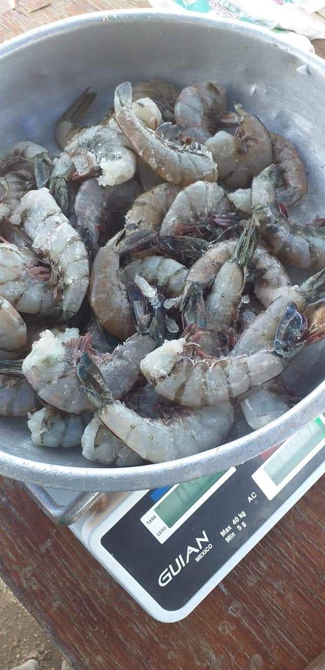 PESCADERIA YURIMURI 3 image 3