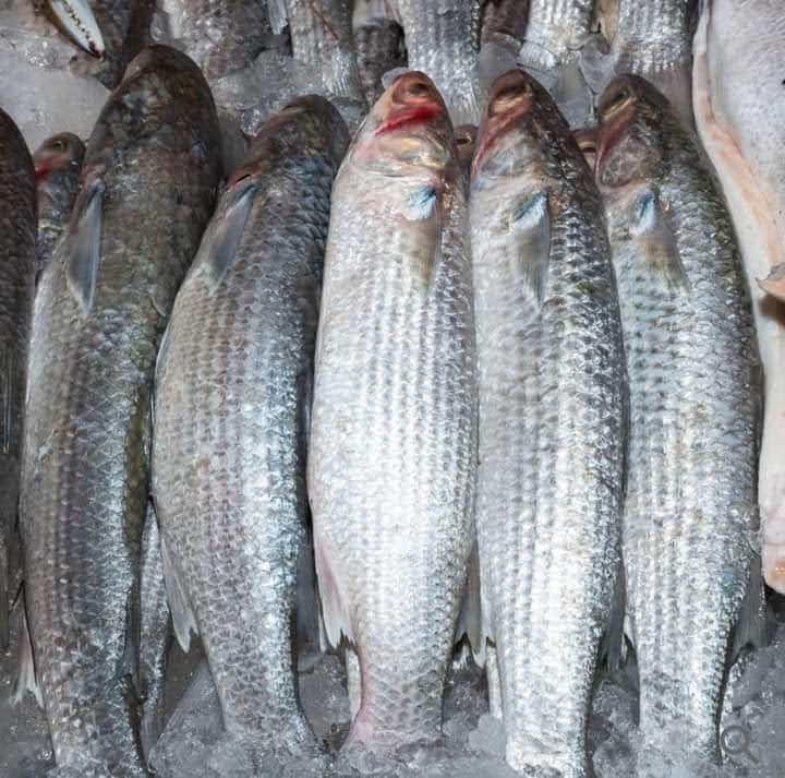 PESCADERIA YURIMURI 3 image 4