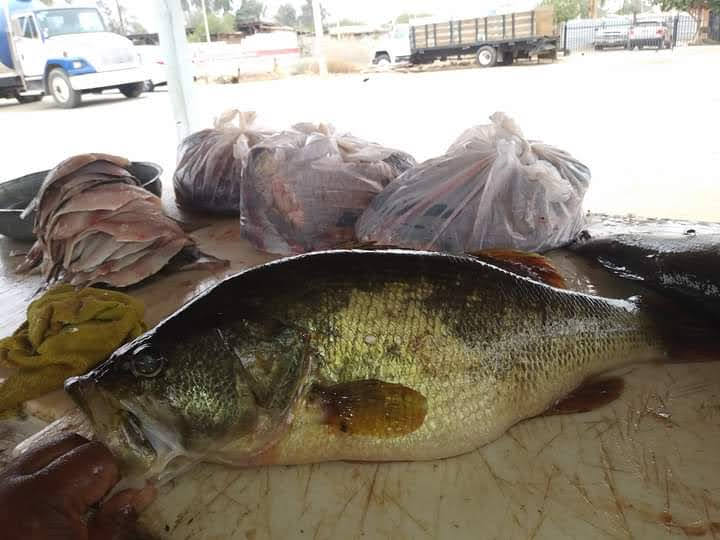 PESCADERIA YURIMURI 3 image 5