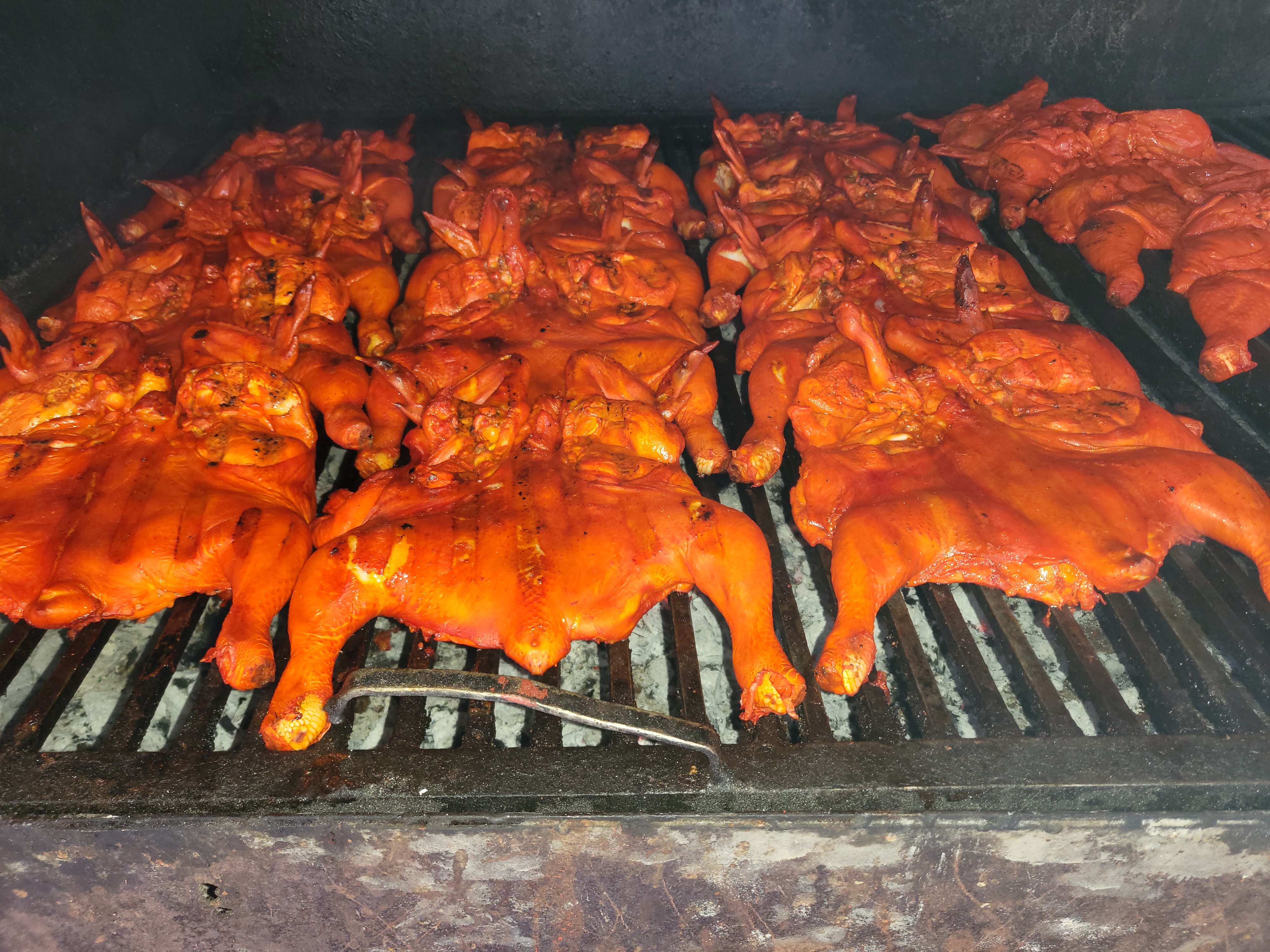 Pollo Guzman image 6