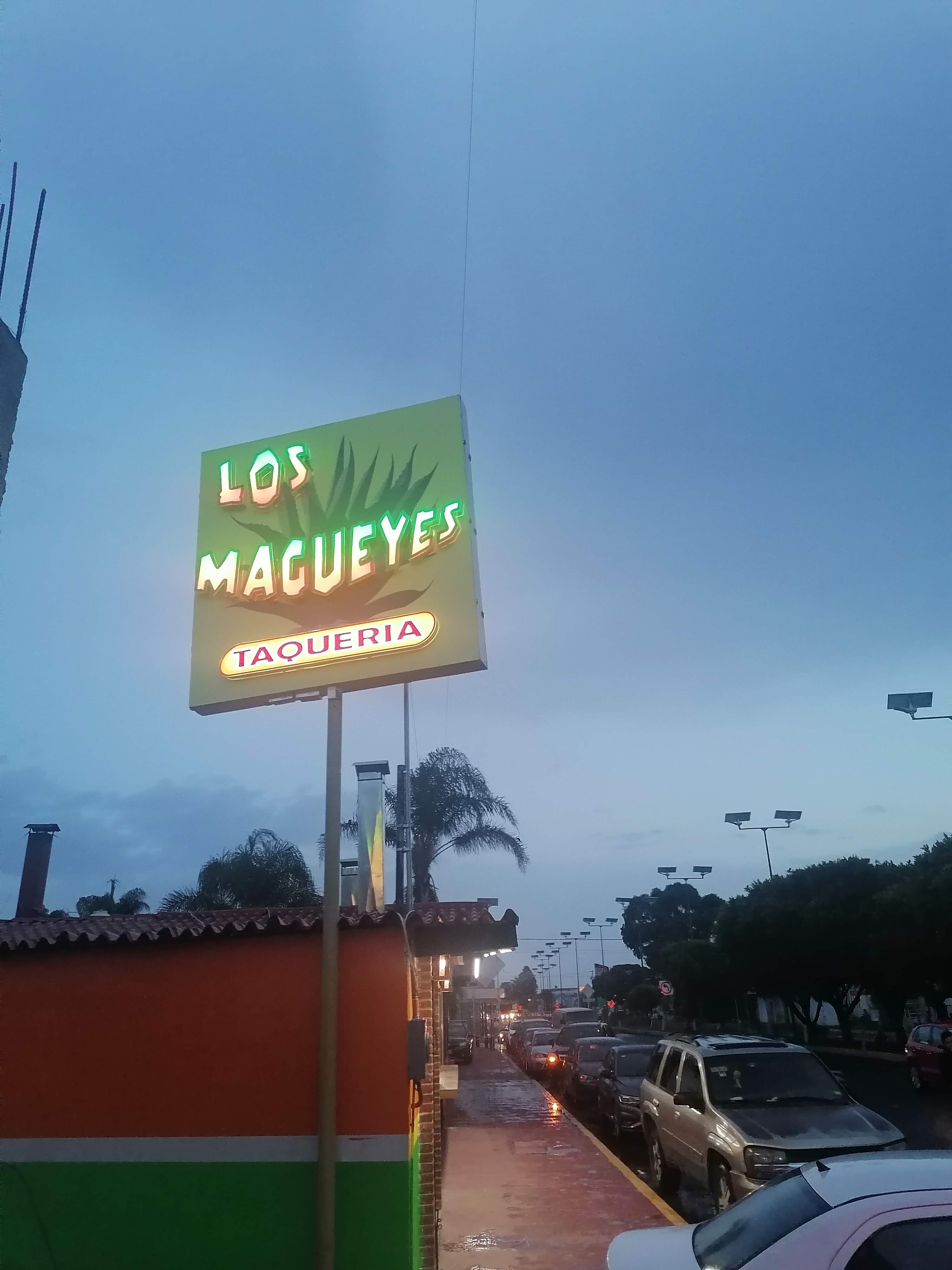Taquería los magueyes image 9