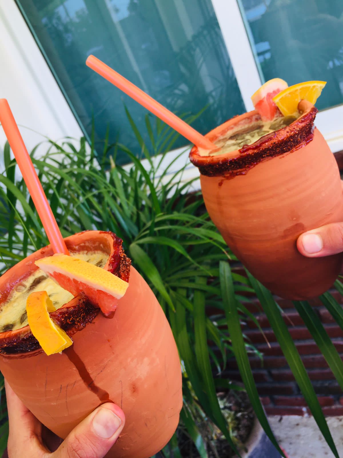 Barriles tequileros image 9