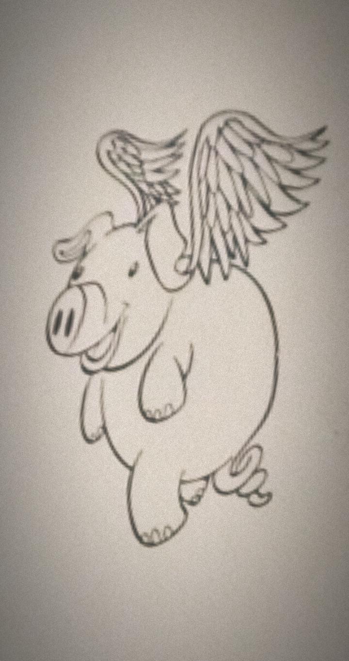 Carnitas El Takon image 8