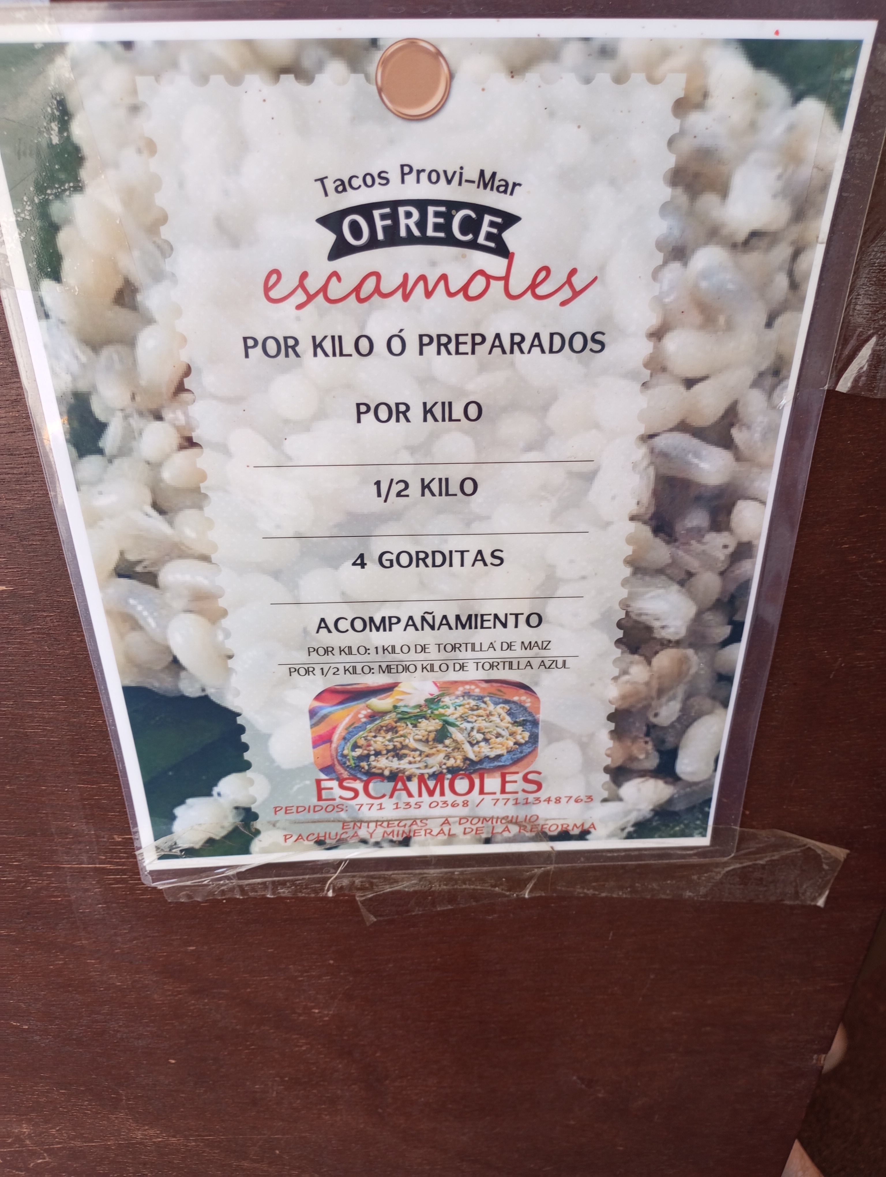 Tacos de guisado " Alice" image 5