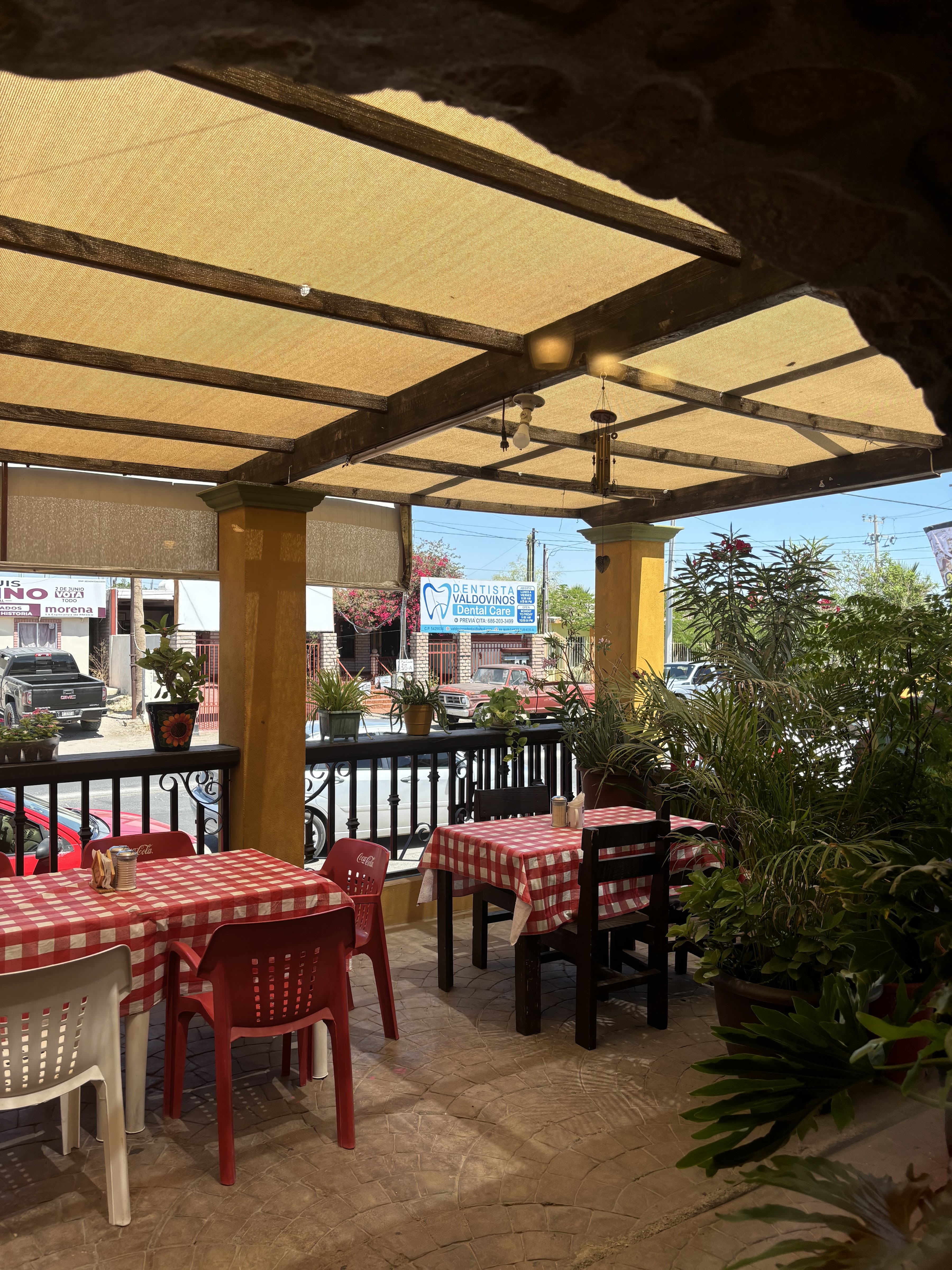 El Rincon de Elena image 10