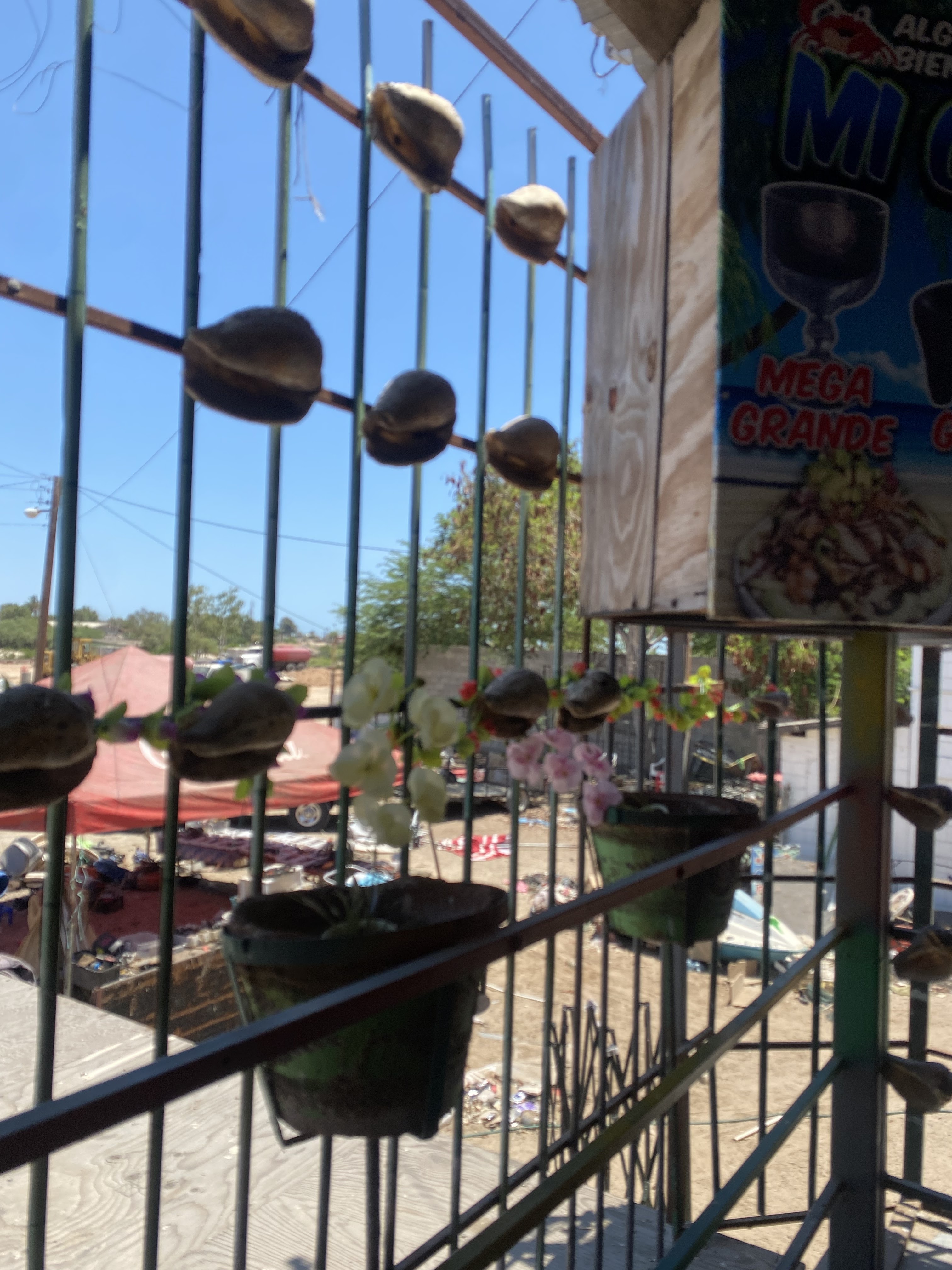 Sea Food (Mariscos) Mi Compa Mario image 8