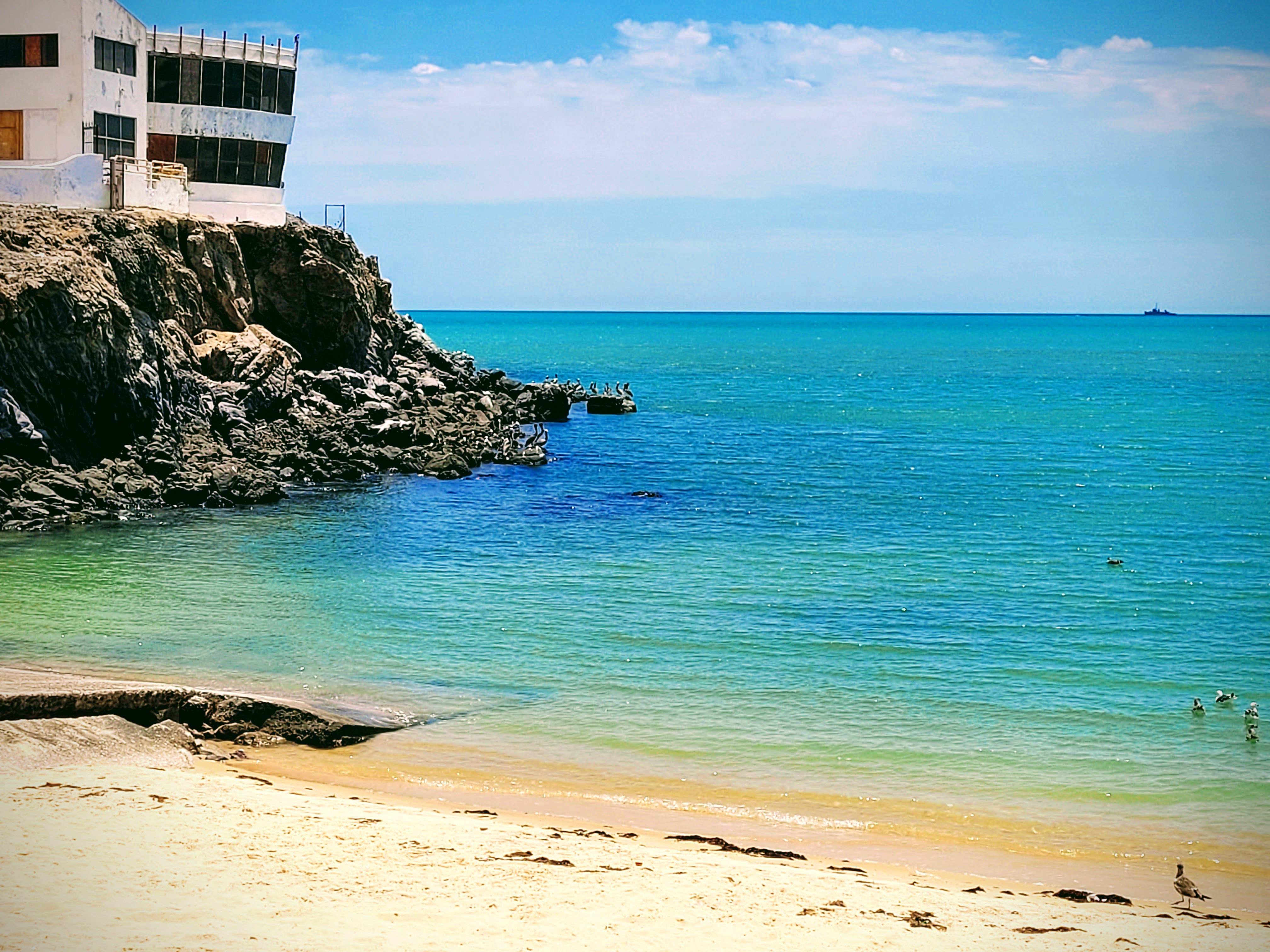 Restaurante Rosita image 6