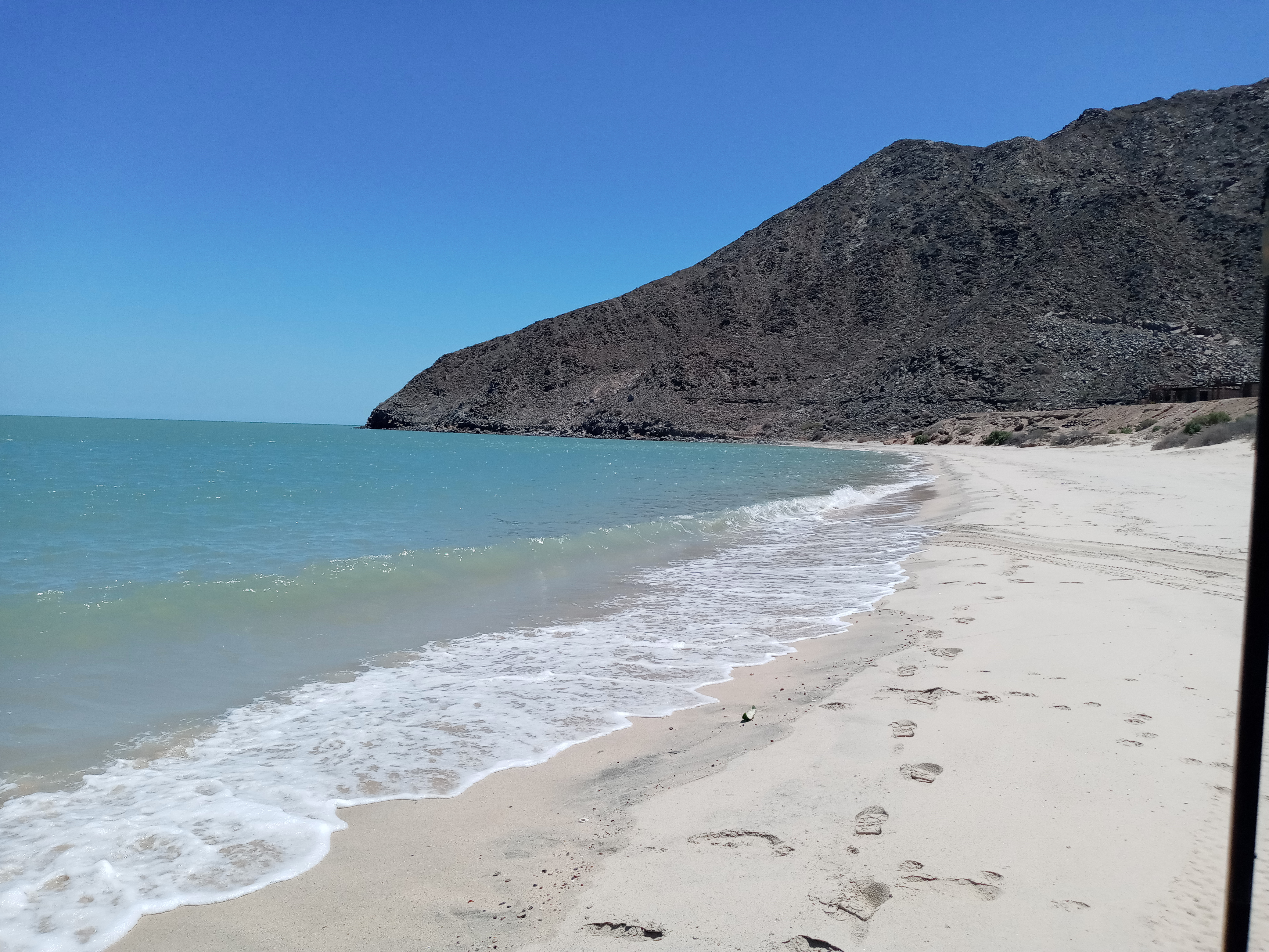 Francis's Diner image 6