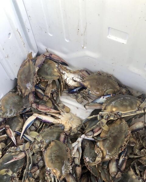Pescaderia Panchita image 2