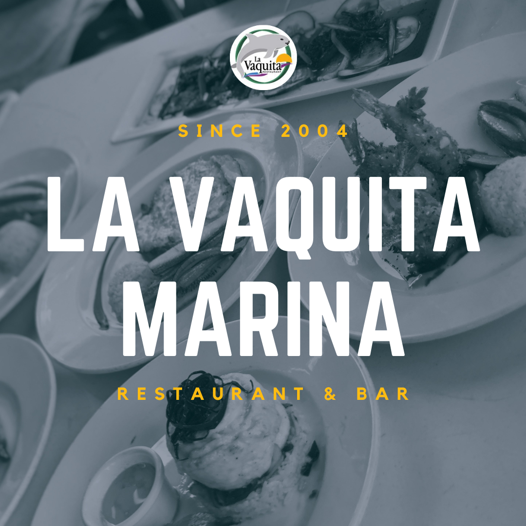 La Vaquita Marina image 3
