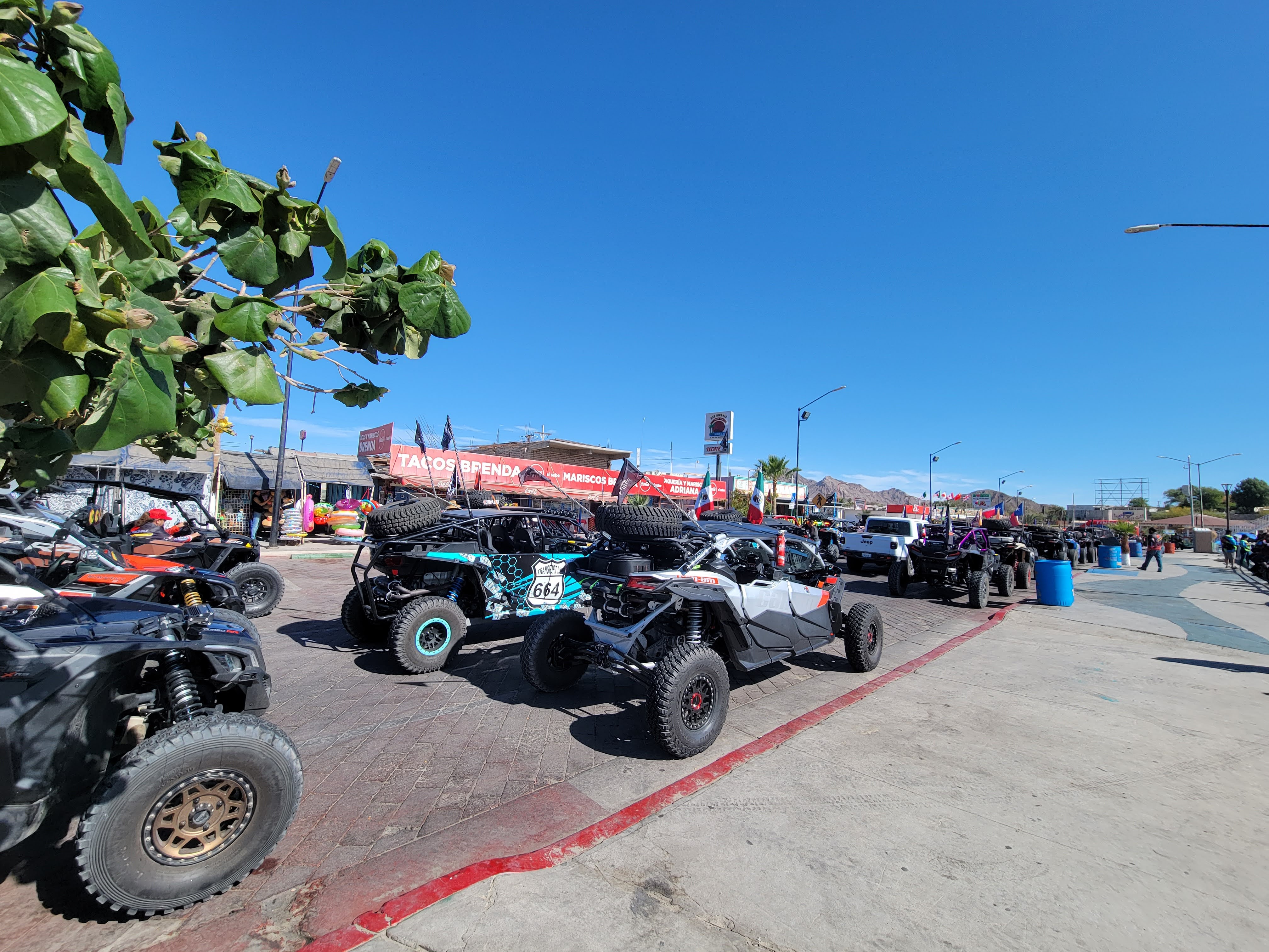 Terraza Rockodile Food&Drinks image 3