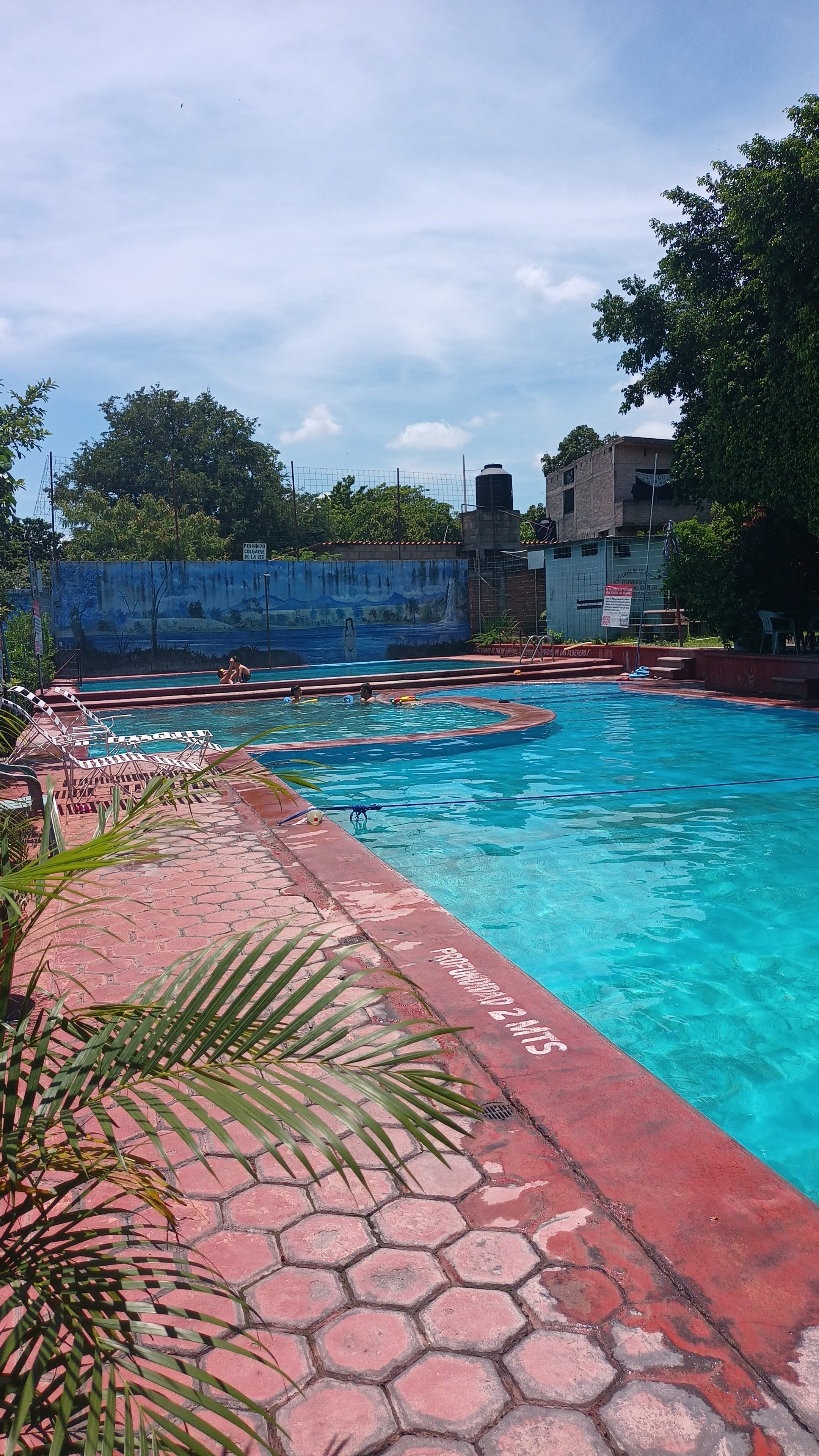 Las Palmas Santarosa 30 Morelos image 2