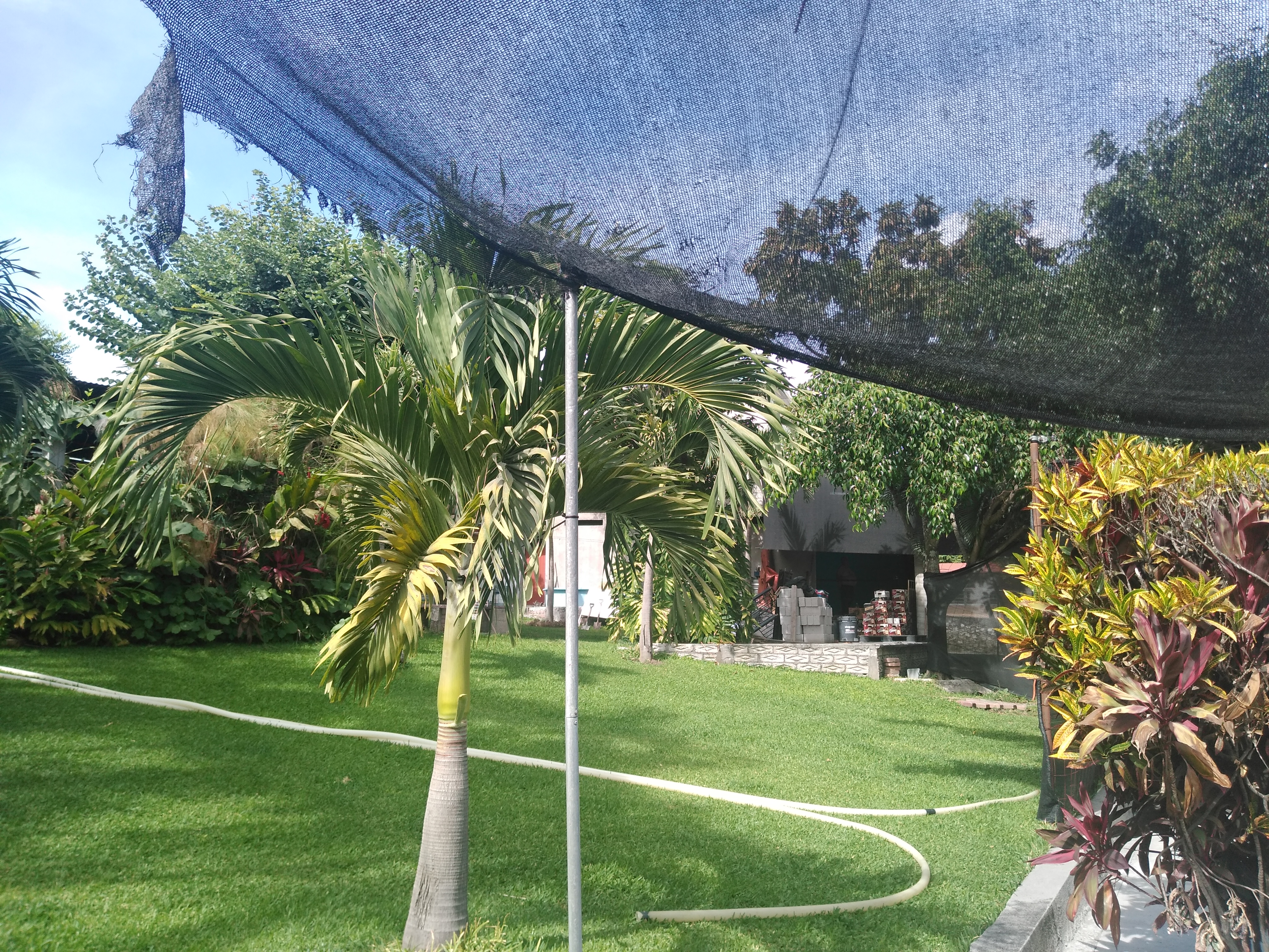 Las Palmas Santarosa 30 Morelos image 3