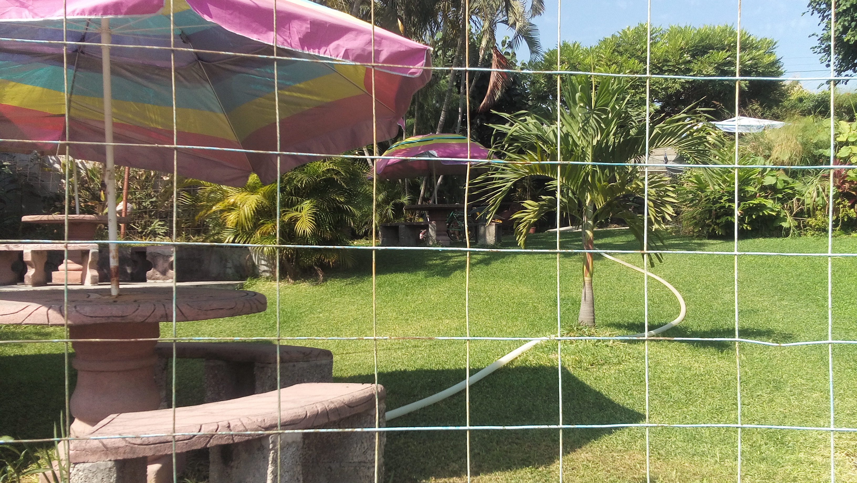 Las Palmas Santarosa 30 Morelos image 6