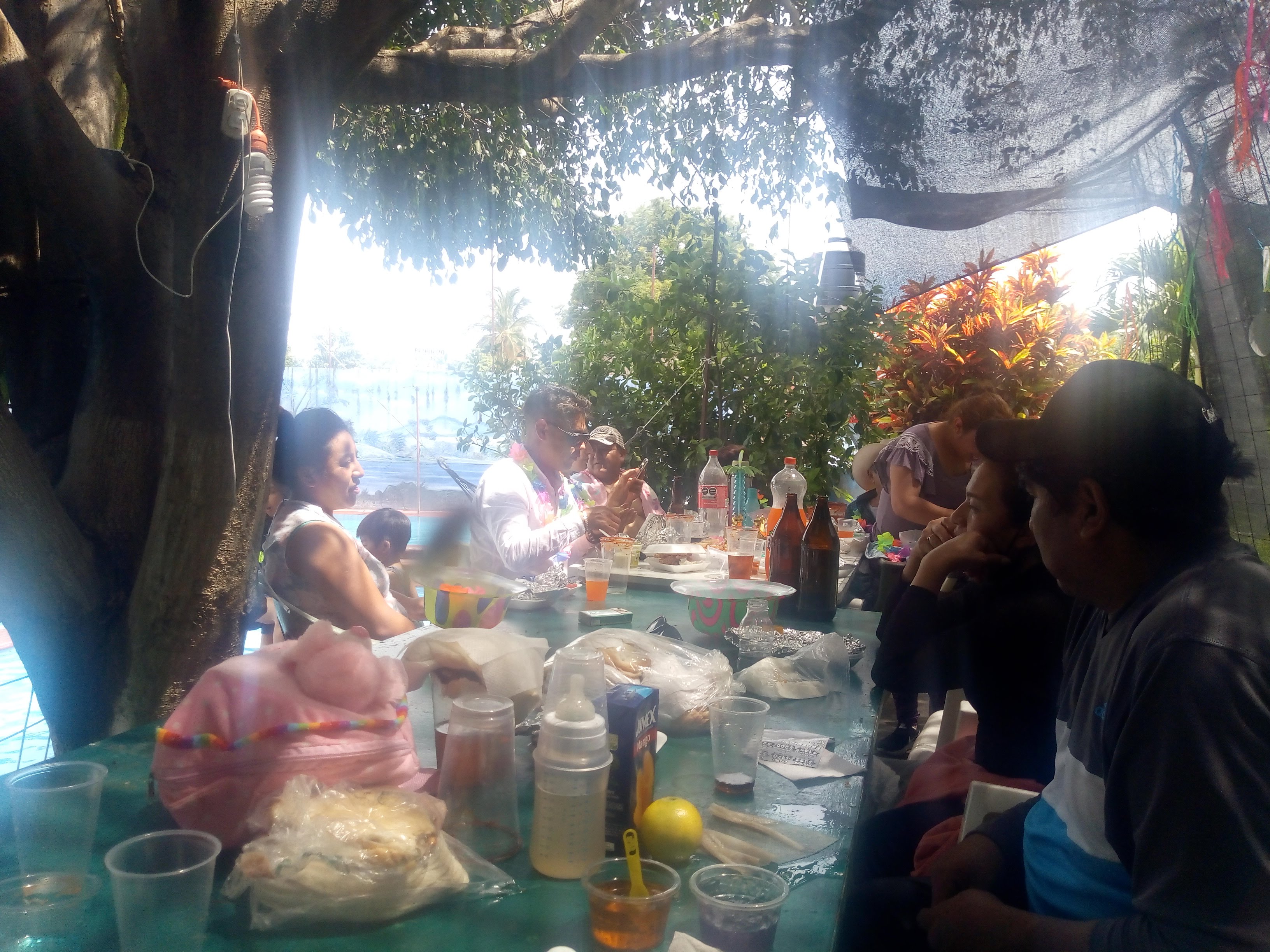 Las Palmas Santarosa 30 Morelos image 7