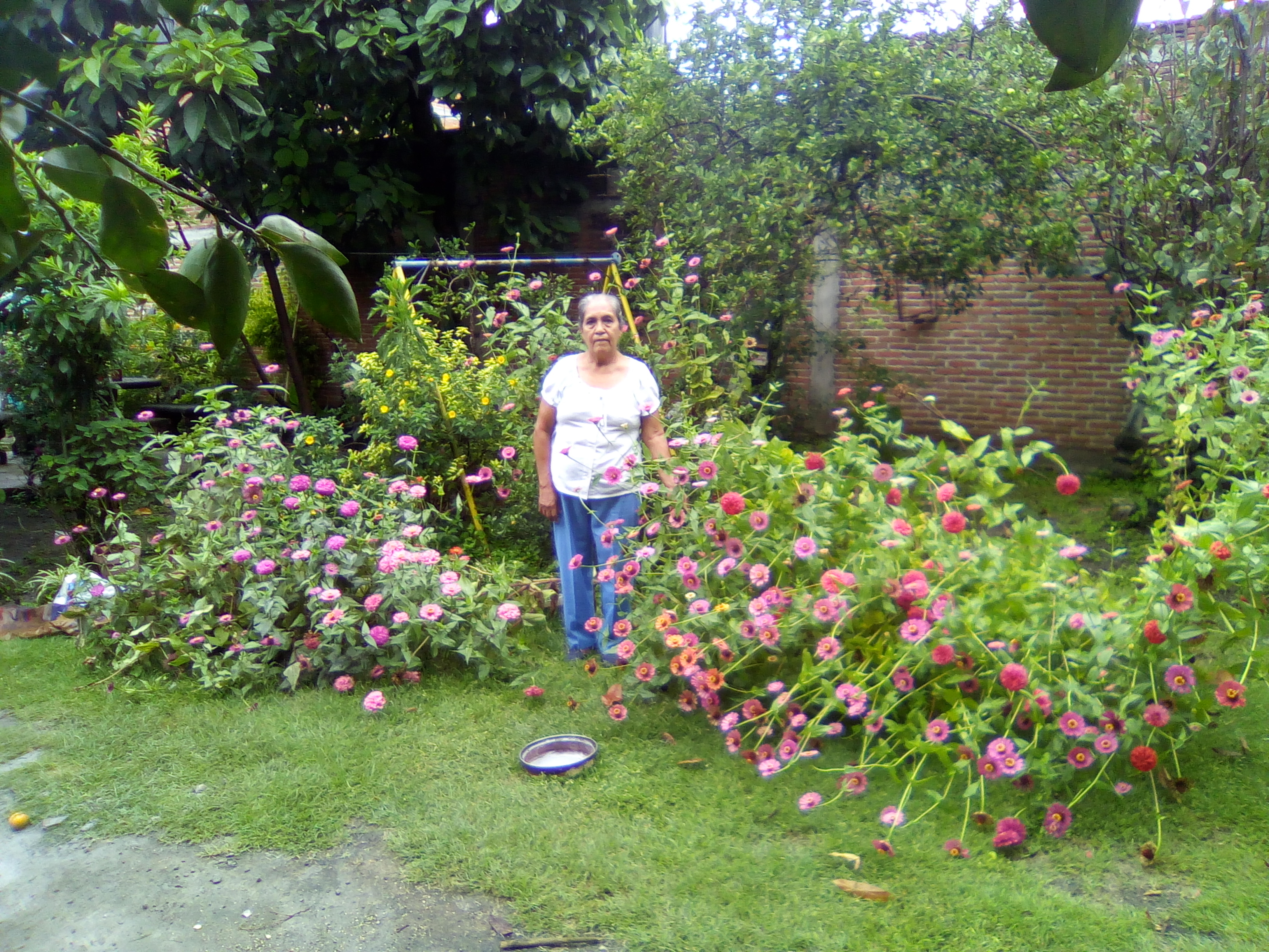 Las Palmas Santarosa 30 Morelos image 8