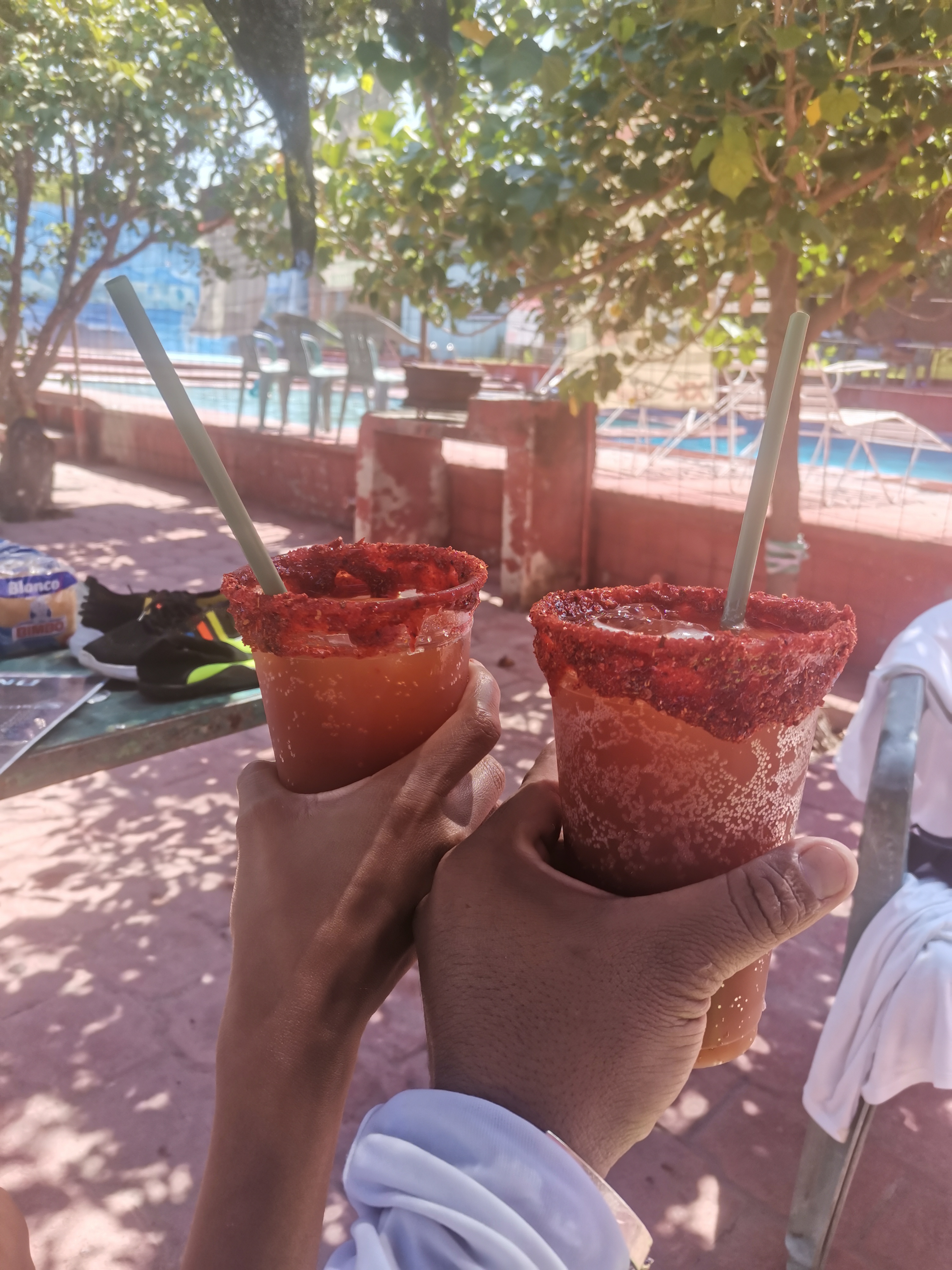 Las Palmas Santarosa 30 Morelos image 9