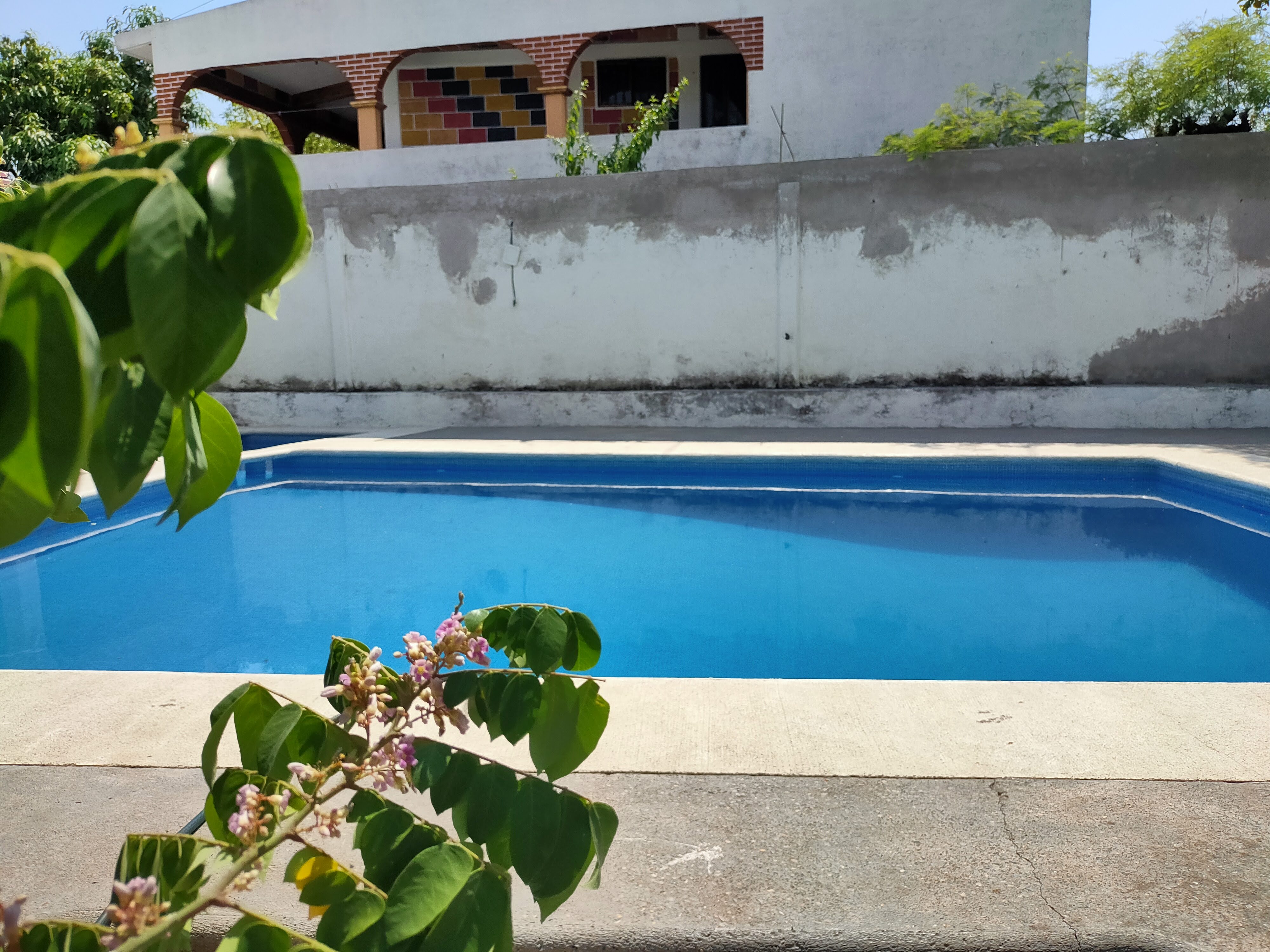 Amalia Comedor y snack's image 2