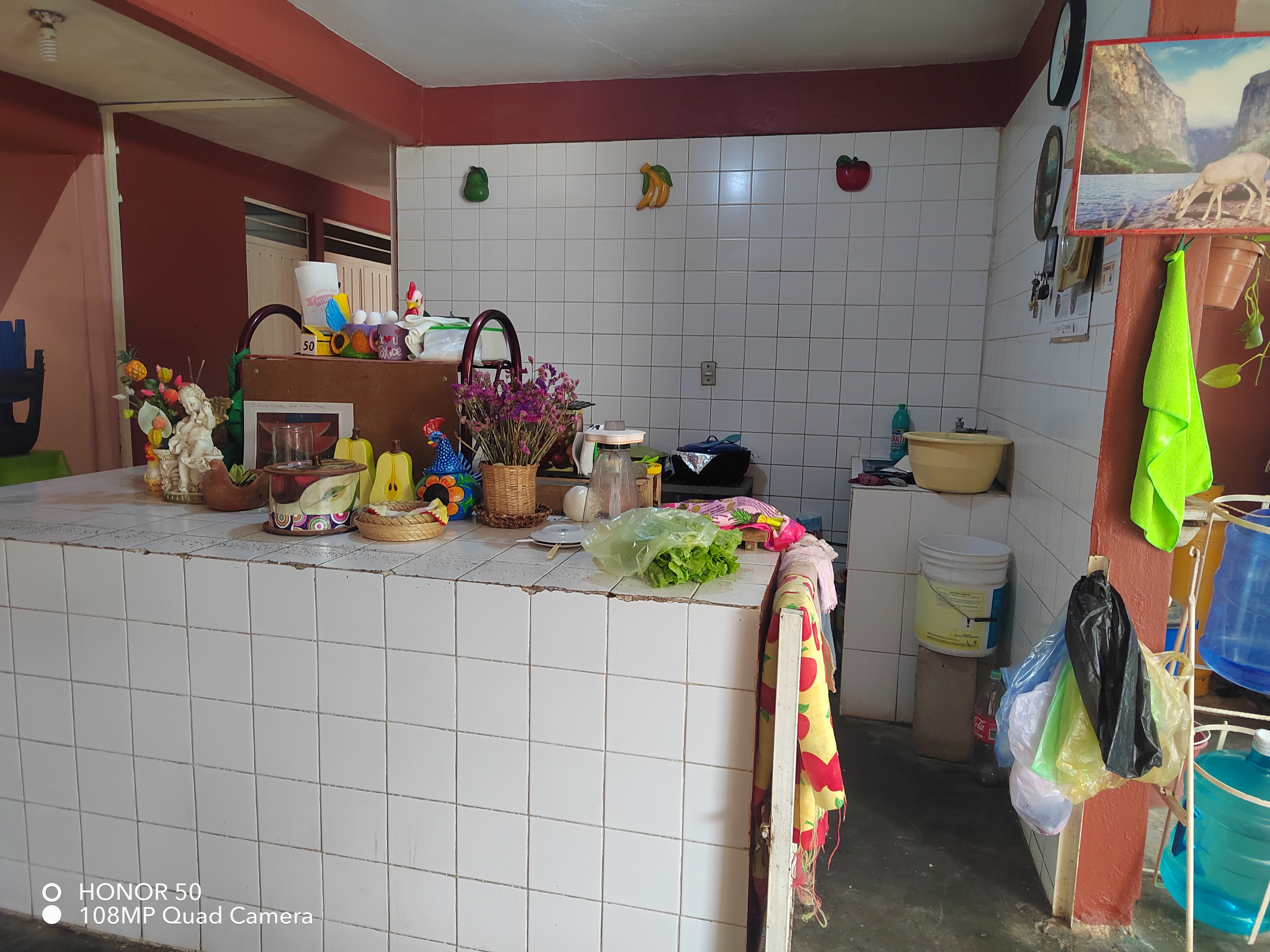 Tacos "Adelita" image 1