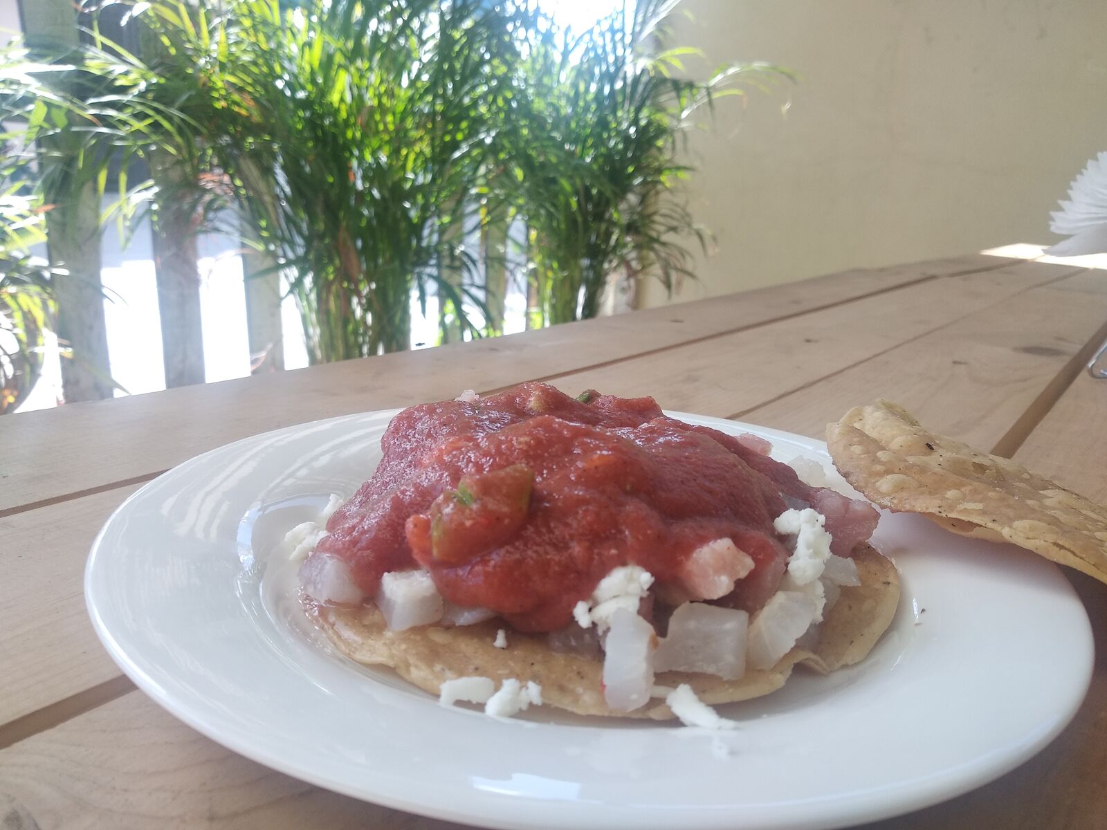 Mi Delirio image 10