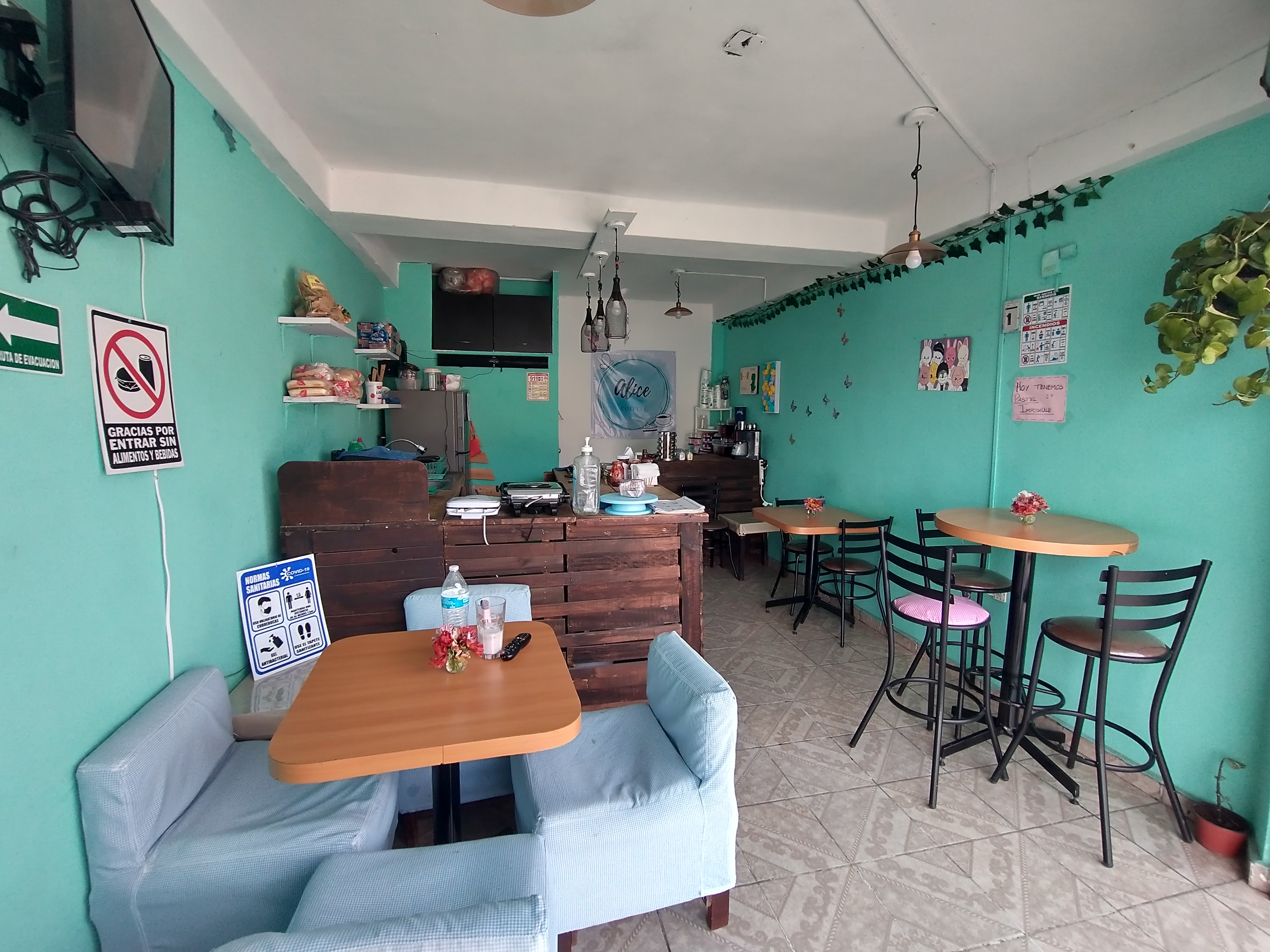 Alice Coffee image 1