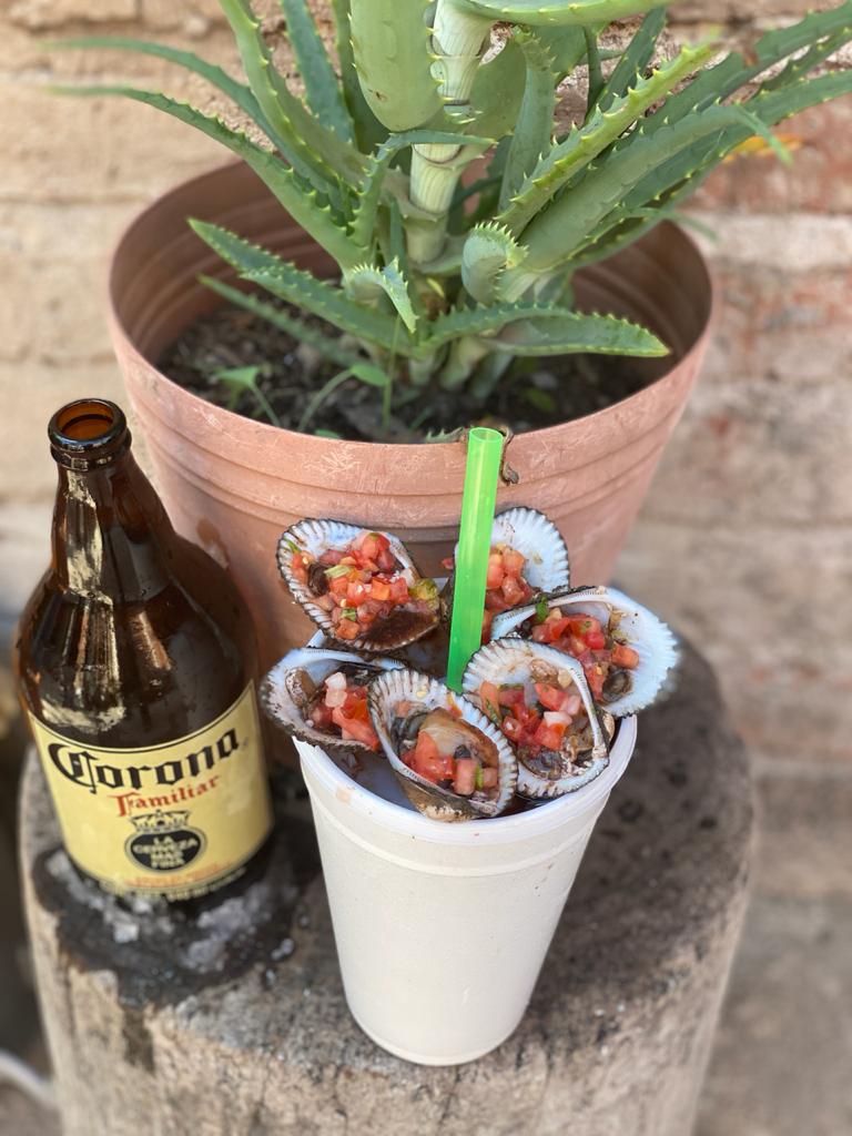 Pavido Navido image 3