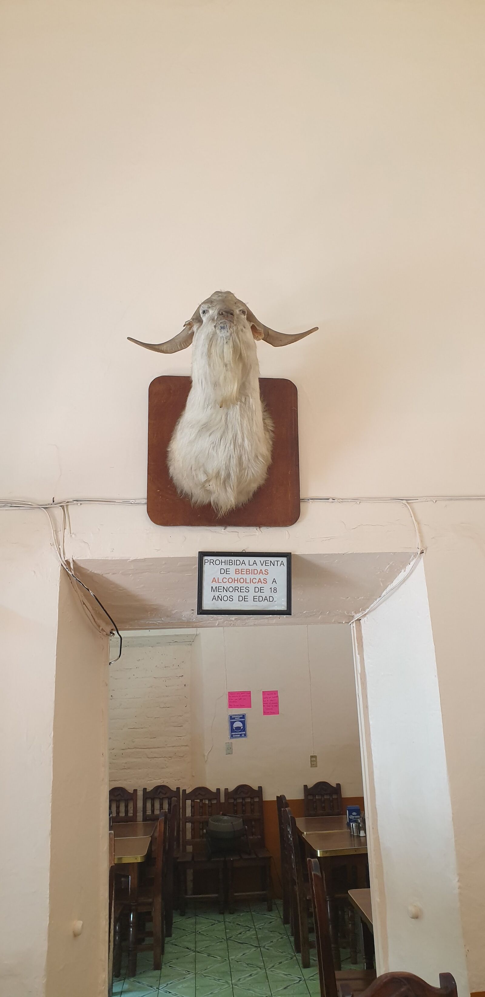 Birrieria Pancho image 5